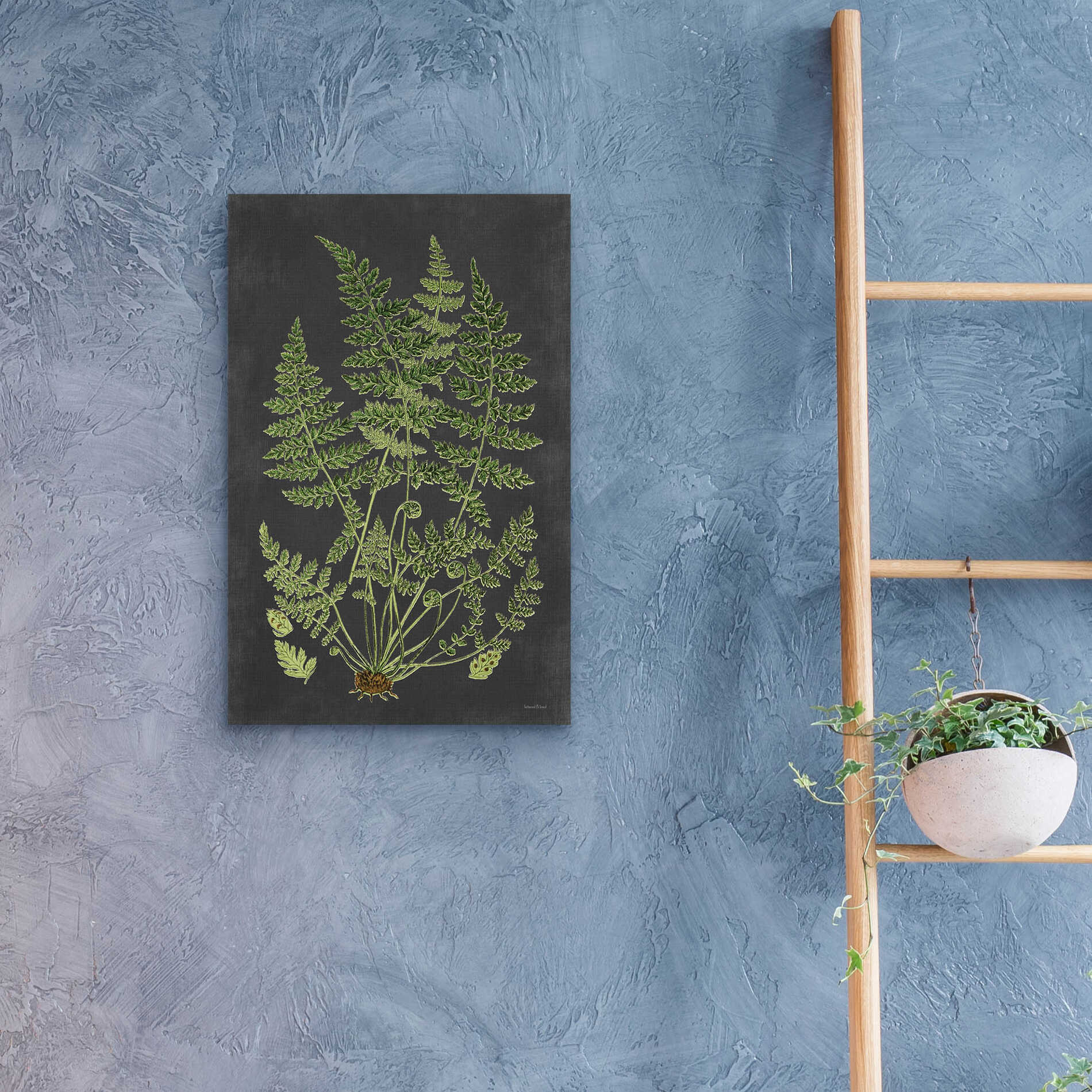 Epic Art 'Fern Study' by lettered & lined, Acrylic Glass Wall Art,16x24