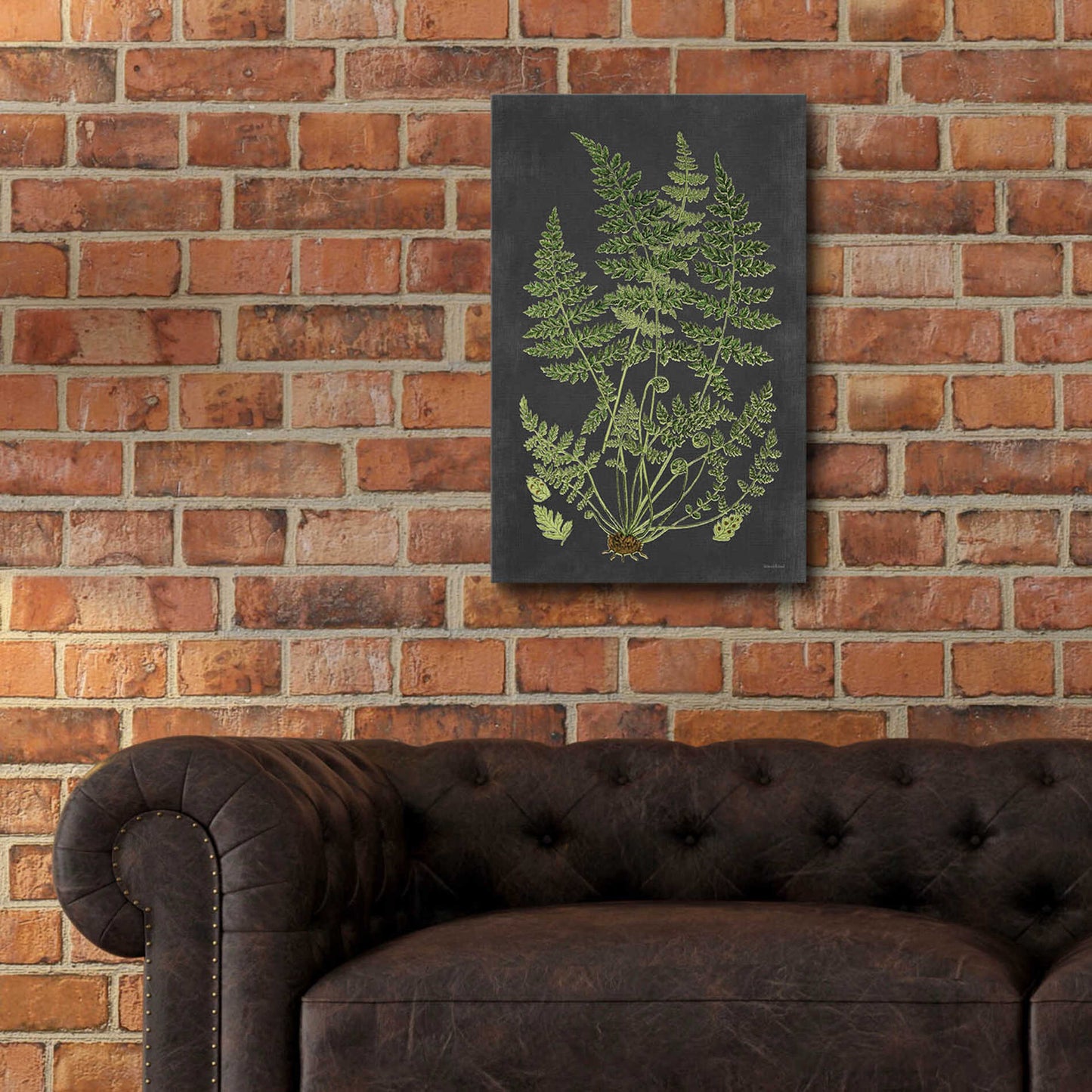 Epic Art 'Fern Study' by lettered & lined, Acrylic Glass Wall Art,16x24