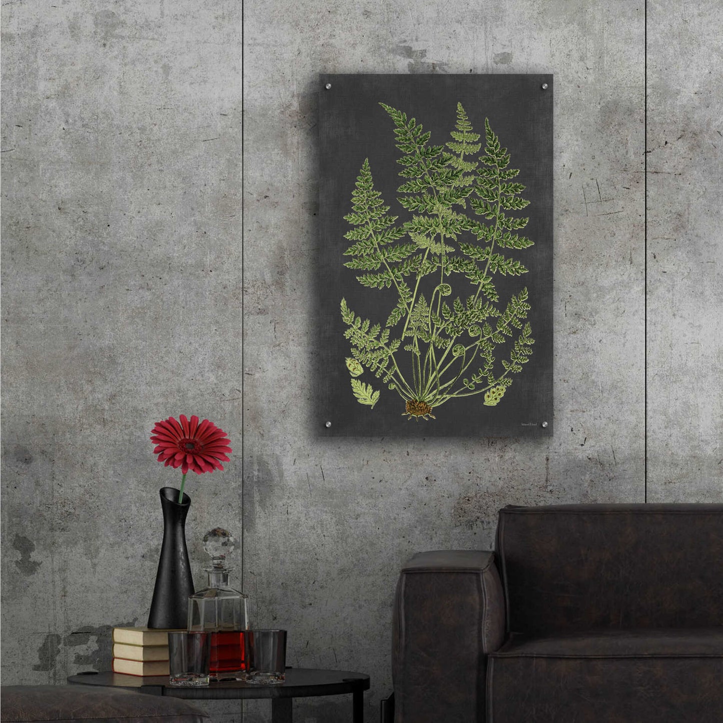 Epic Art 'Fern Study' by lettered & lined, Acrylic Glass Wall Art,24x36