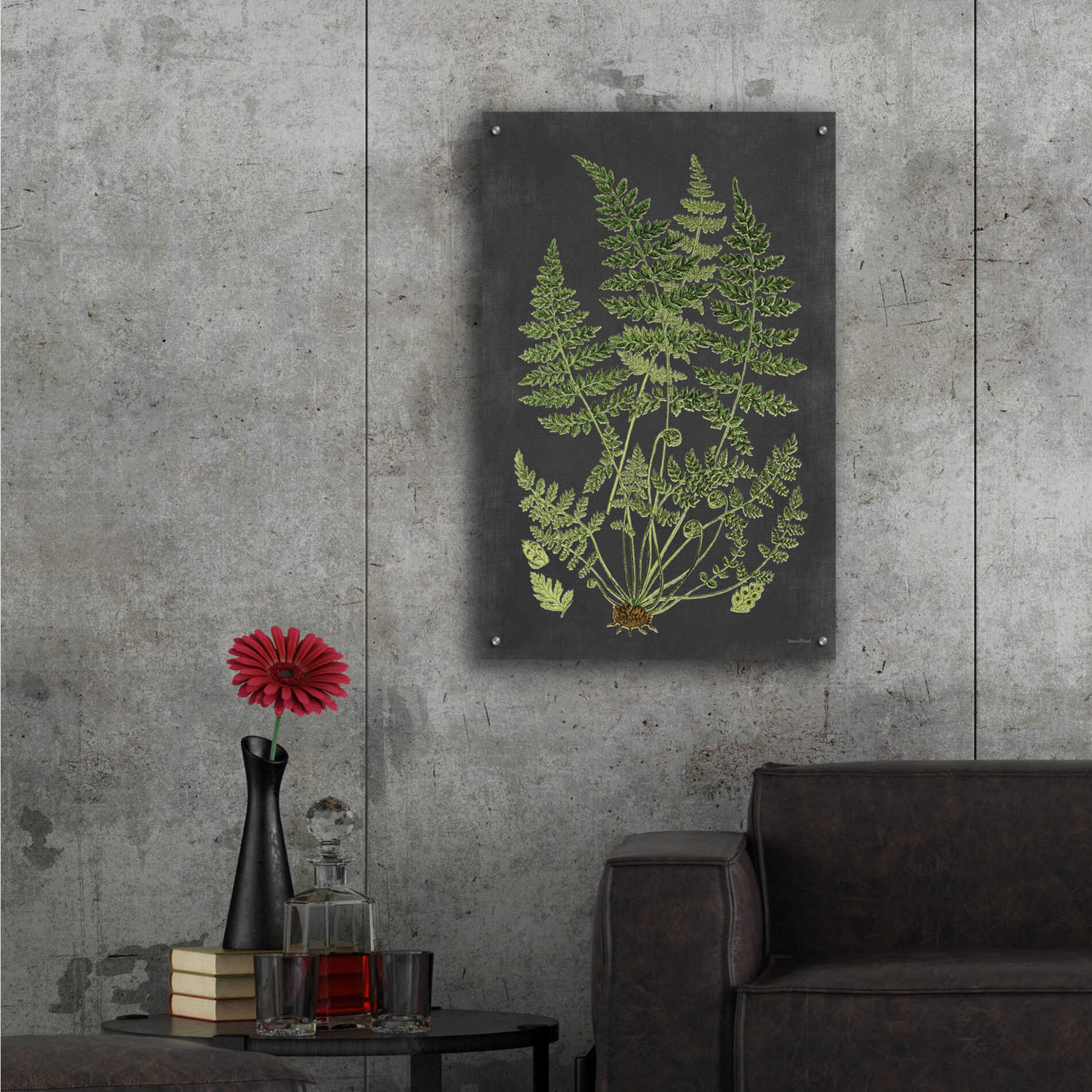 Epic Art 'Fern Study' by lettered & lined, Acrylic Glass Wall Art,24x36