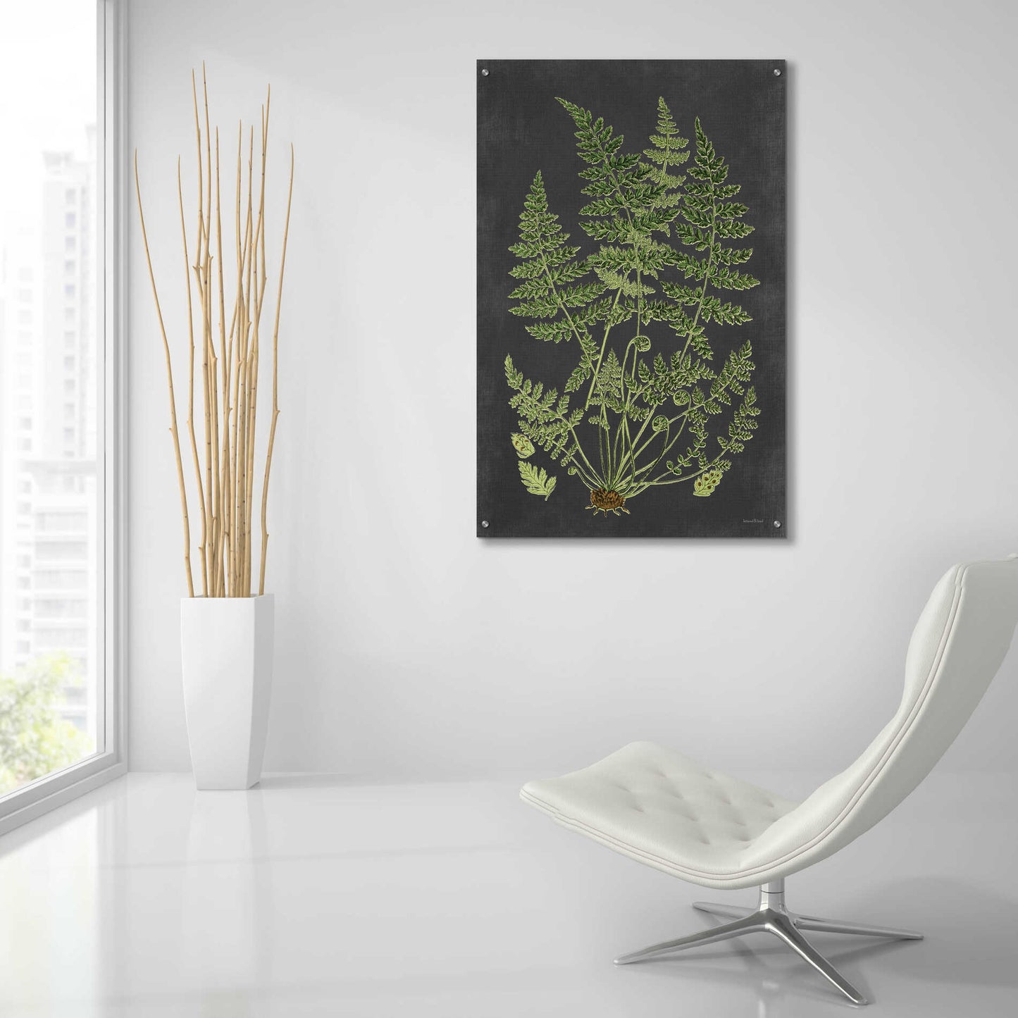 Epic Art 'Fern Study' by lettered & lined, Acrylic Glass Wall Art,24x36