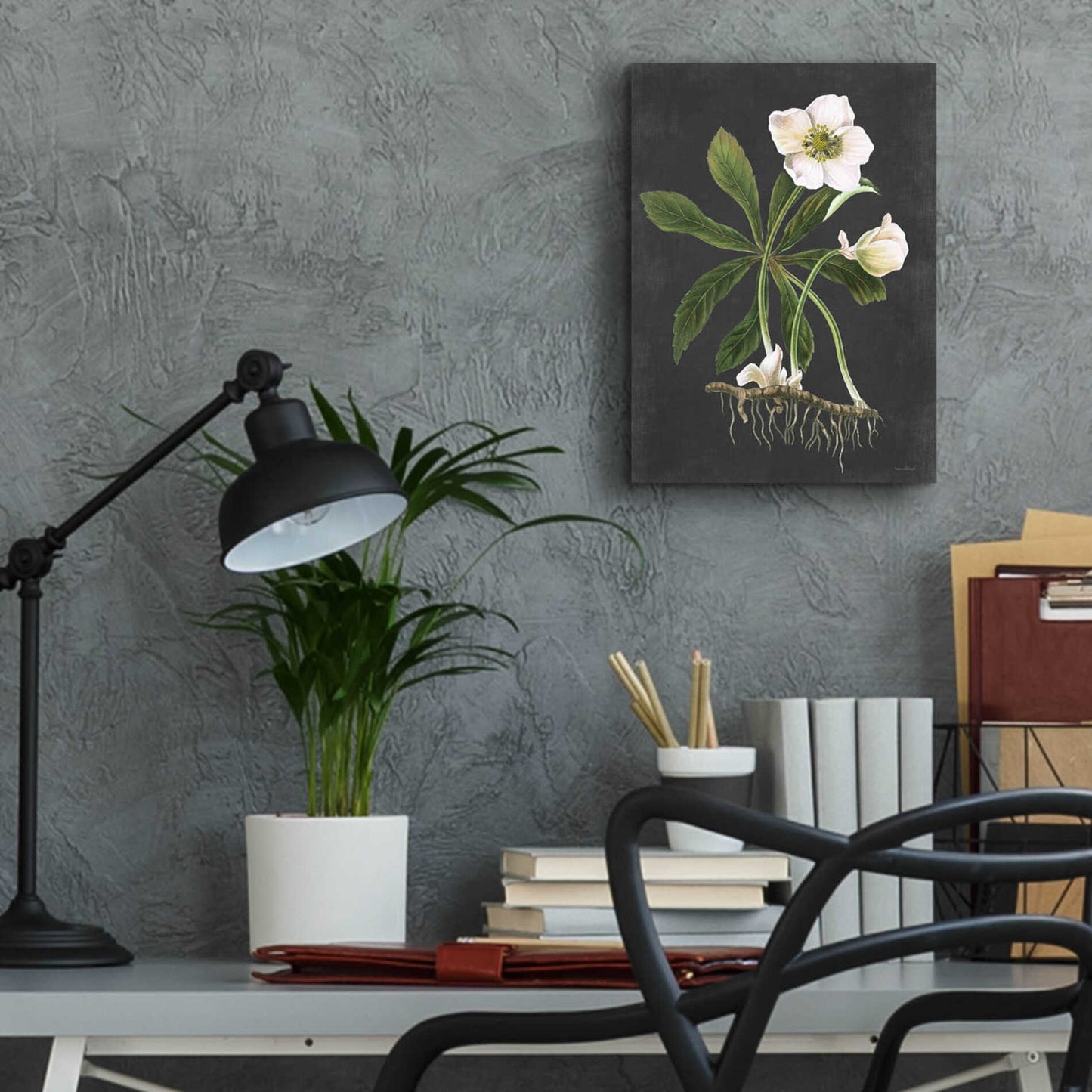 Epic Art 'Hellebore' by lettered & lined, Acrylic Glass Wall Art,12x16