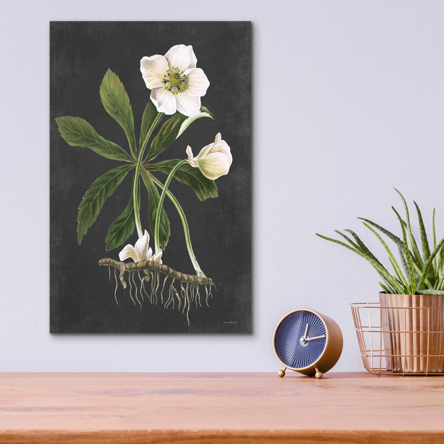 Epic Art 'Hellebore' by lettered & lined, Acrylic Glass Wall Art,12x16