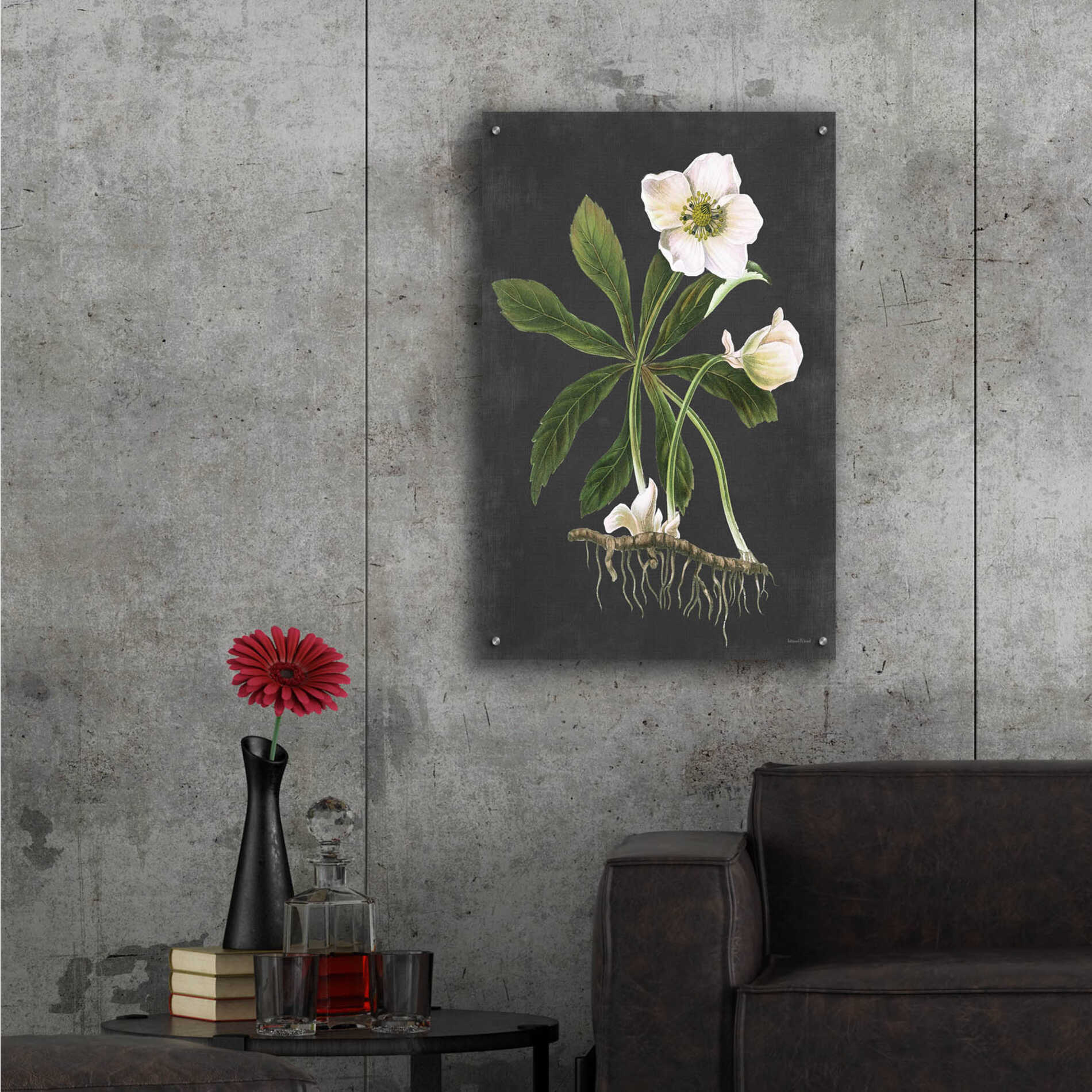 Epic Art 'Hellebore' by lettered & lined, Acrylic Glass Wall Art,24x36