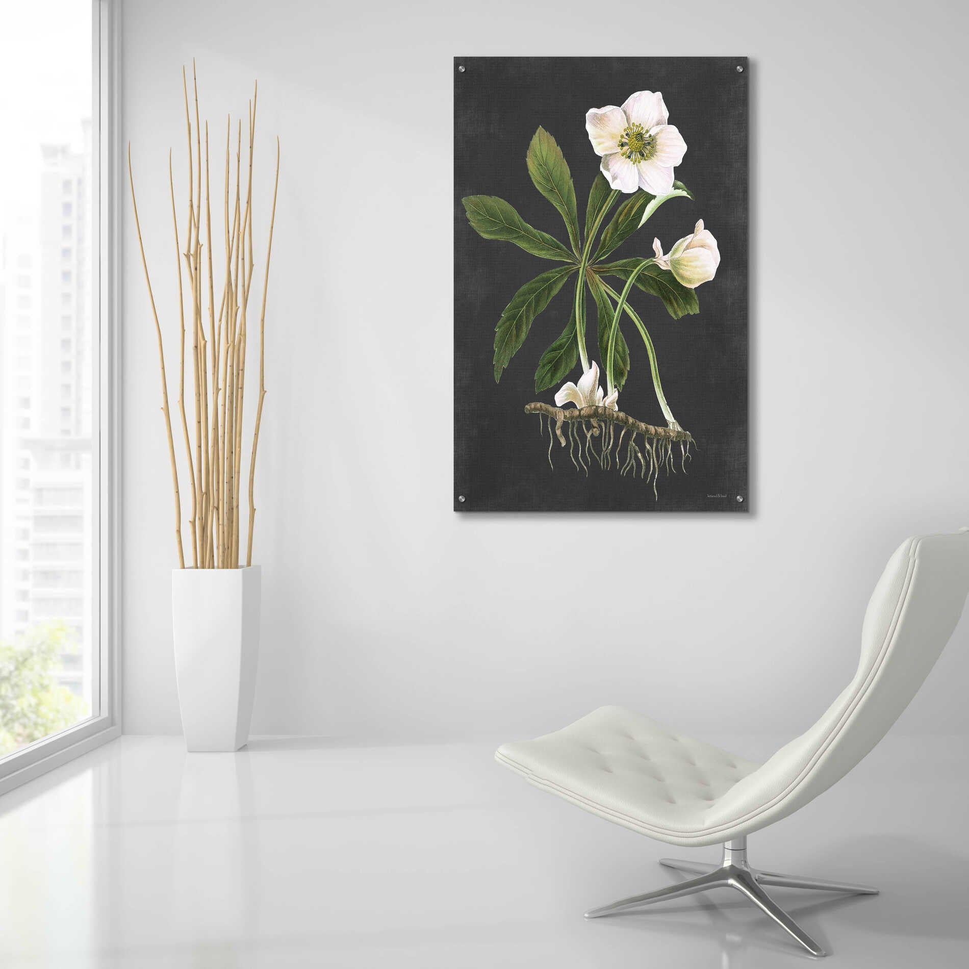 Epic Art 'Hellebore' by lettered & lined, Acrylic Glass Wall Art,24x36