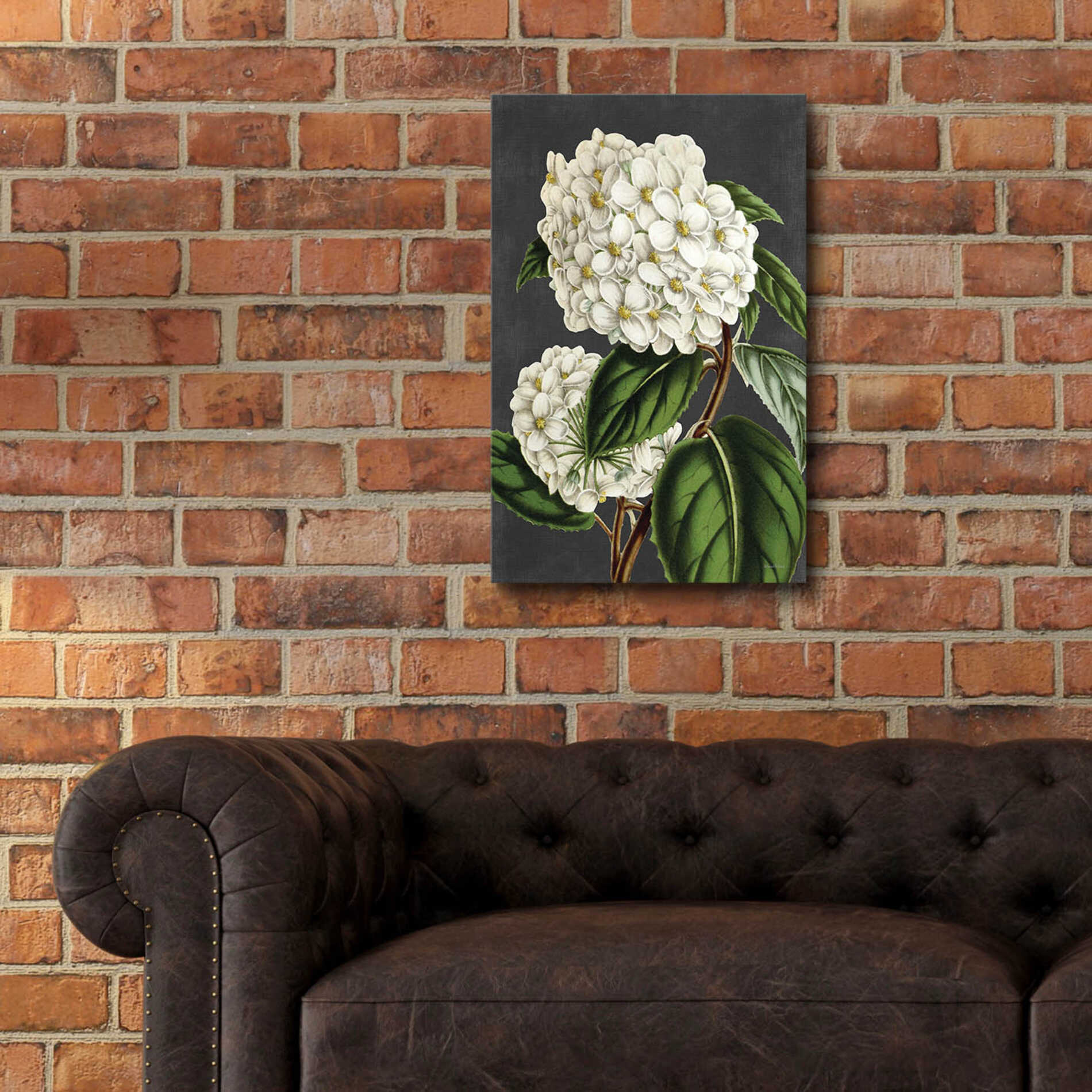 Epic Art 'Hydrangea' by lettered & lined, Acrylic Glass Wall Art,16x24