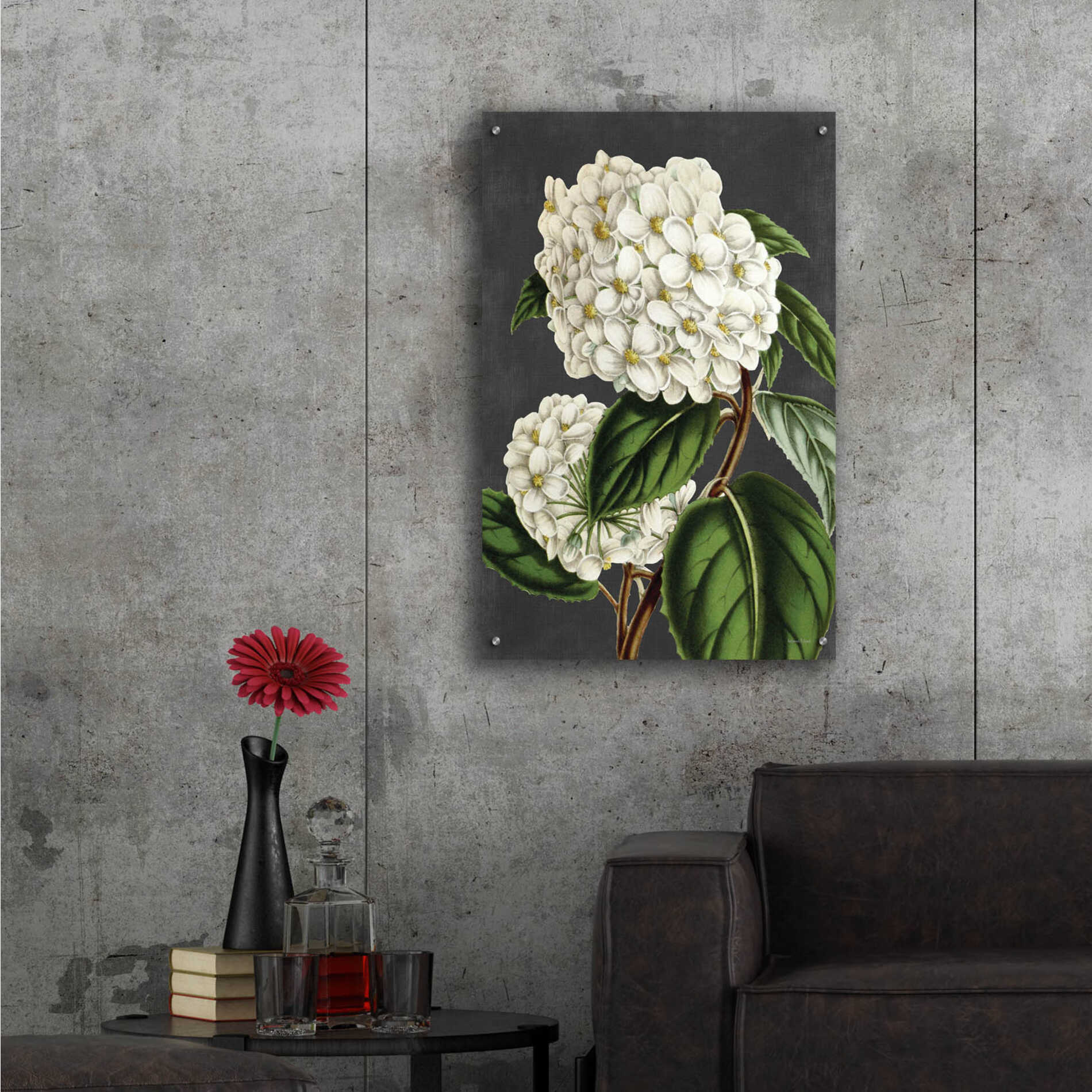 Epic Art 'Hydrangea' by lettered & lined, Acrylic Glass Wall Art,24x36