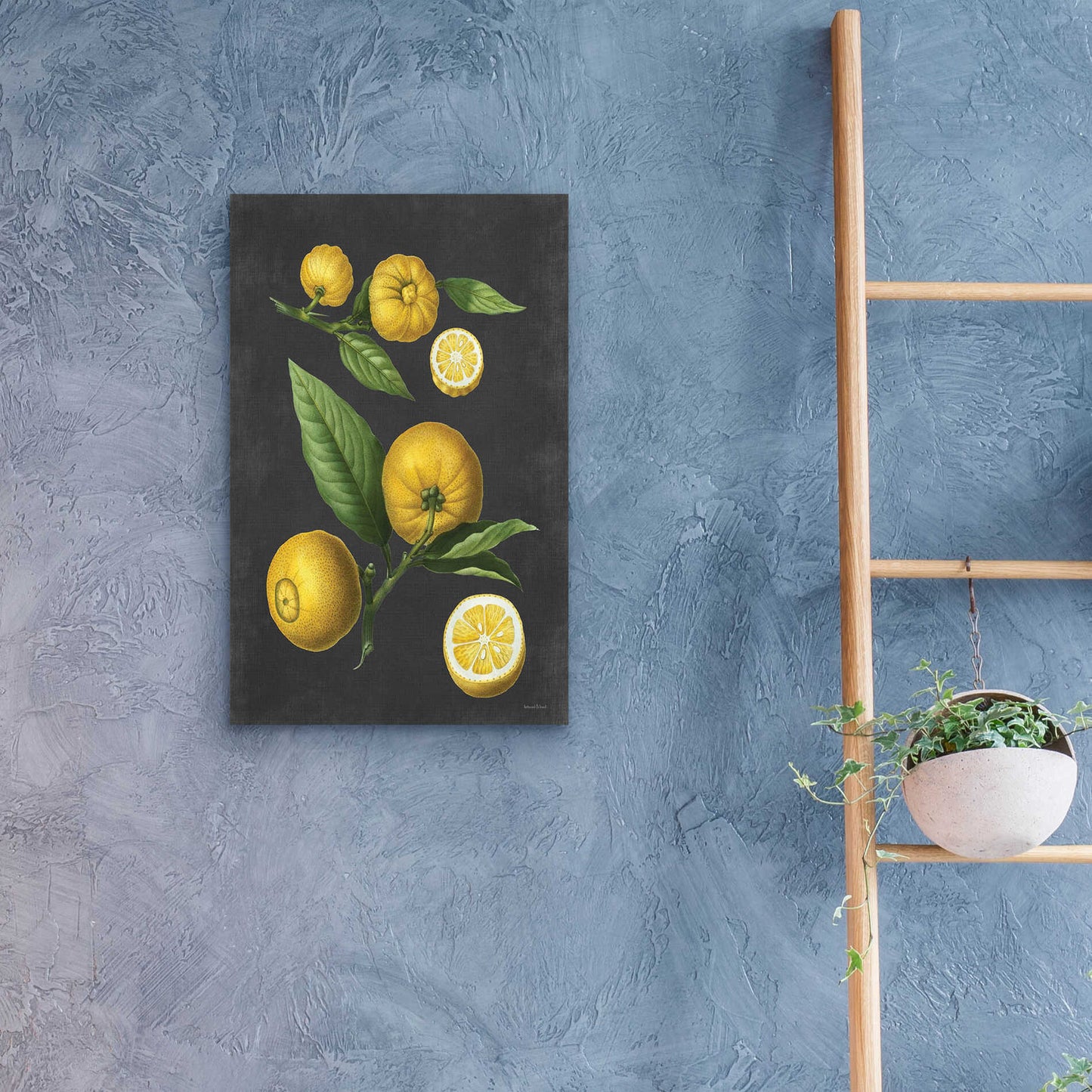 Epic Art 'Lemon Citrus' by lettered & lined, Acrylic Glass Wall Art,16x24
