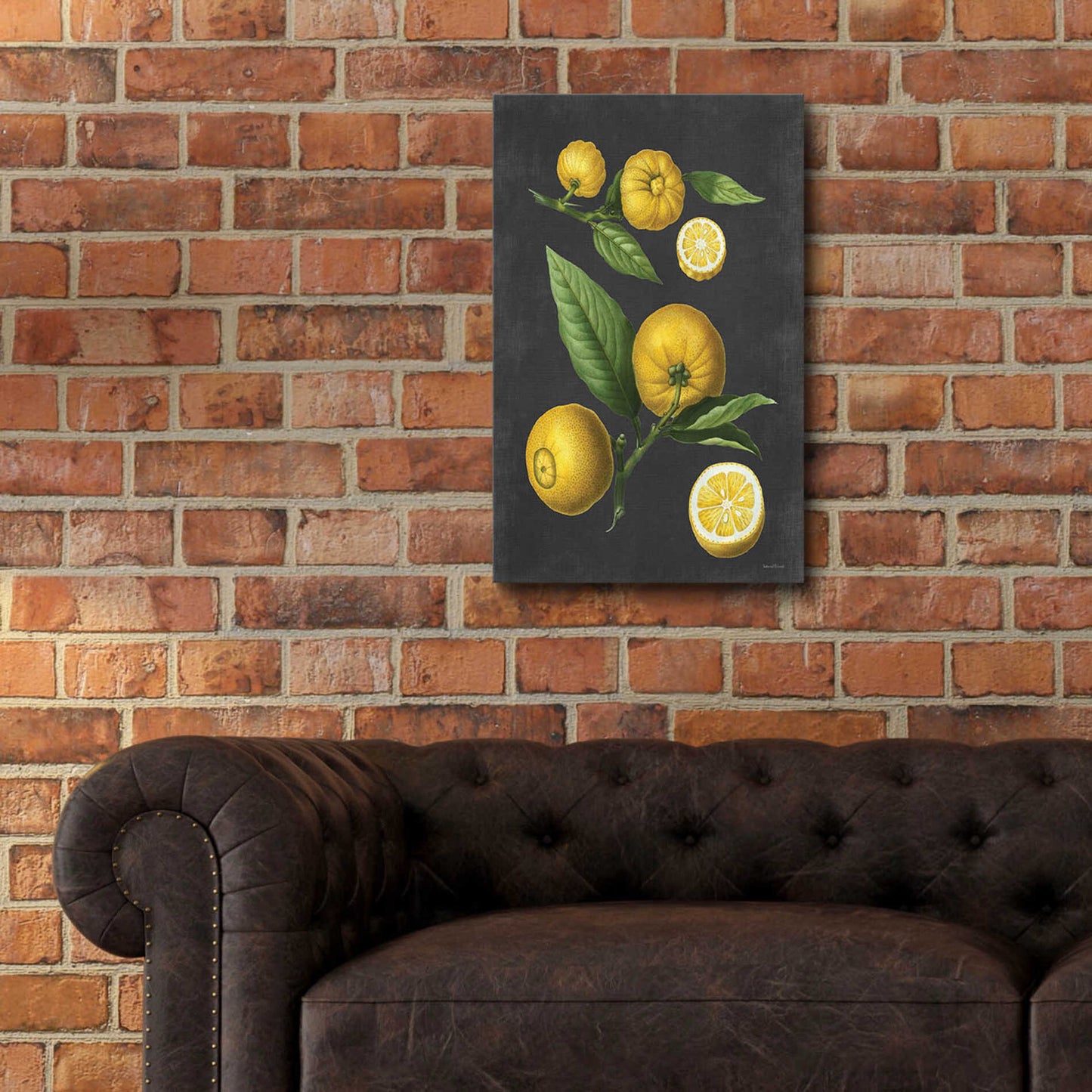 Epic Art 'Lemon Citrus' by lettered & lined, Acrylic Glass Wall Art,16x24