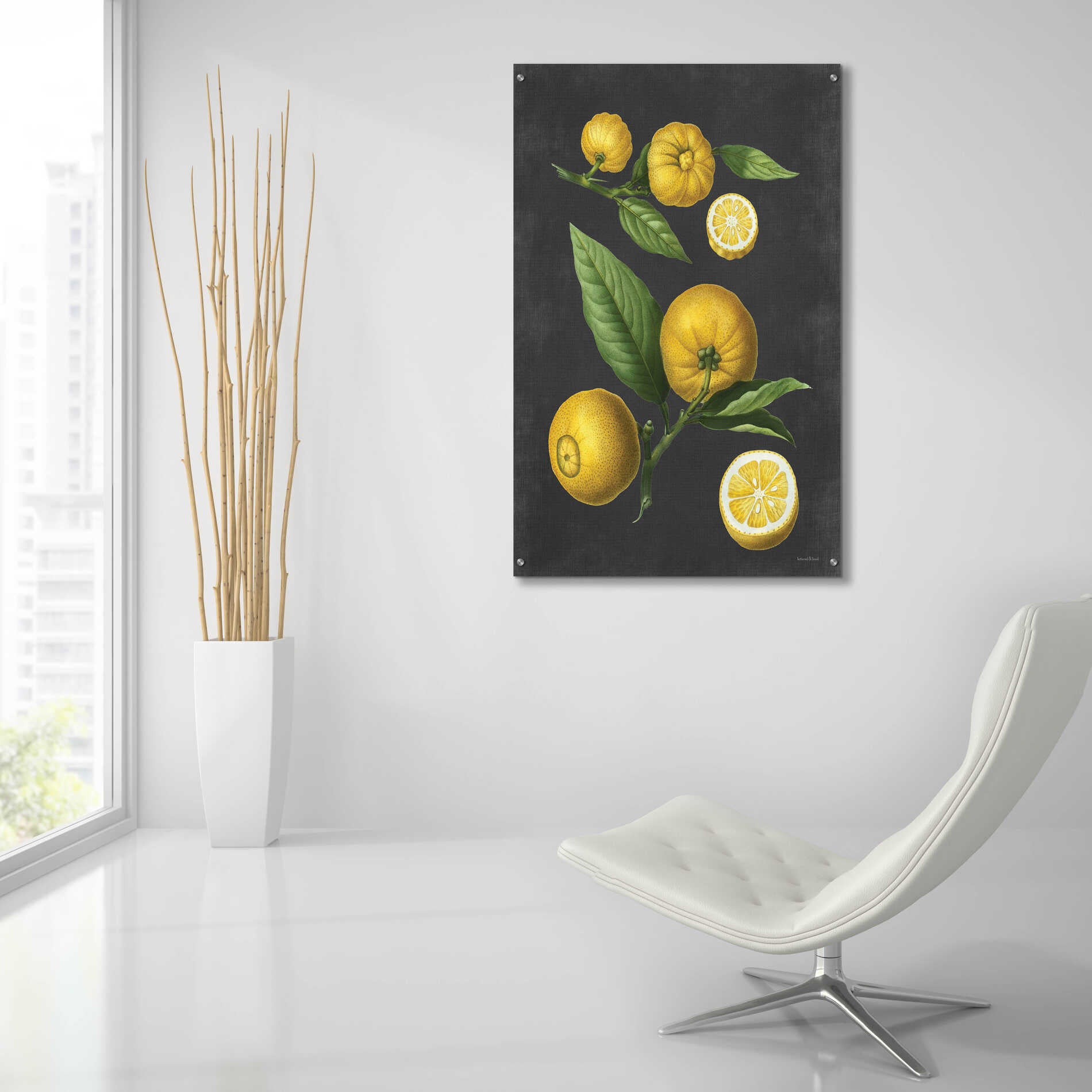 Epic Art 'Lemon Citrus' by lettered & lined, Acrylic Glass Wall Art,24x36