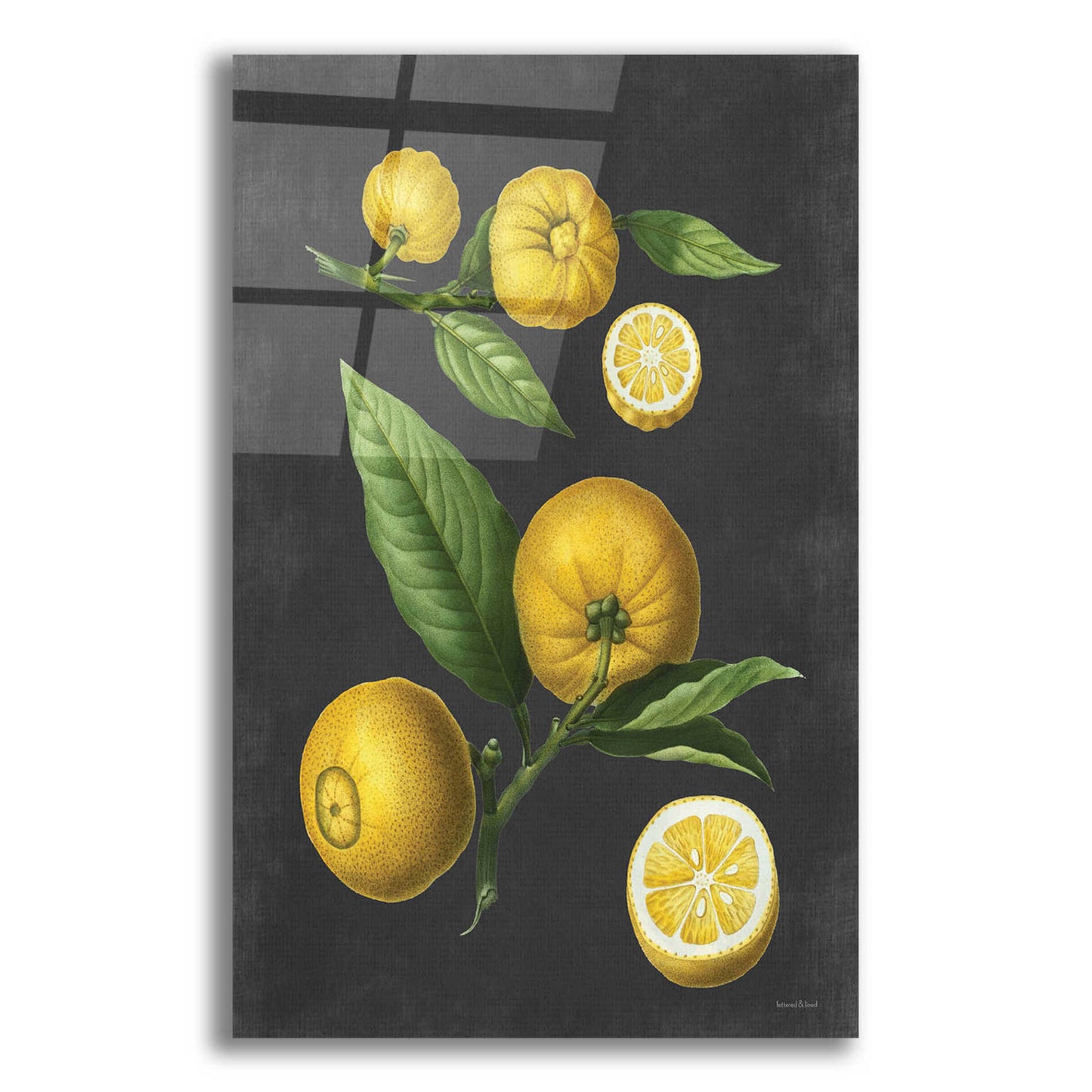Epic Art 'Lemon Citrus' by lettered & lined, Acrylic Glass Wall Art
