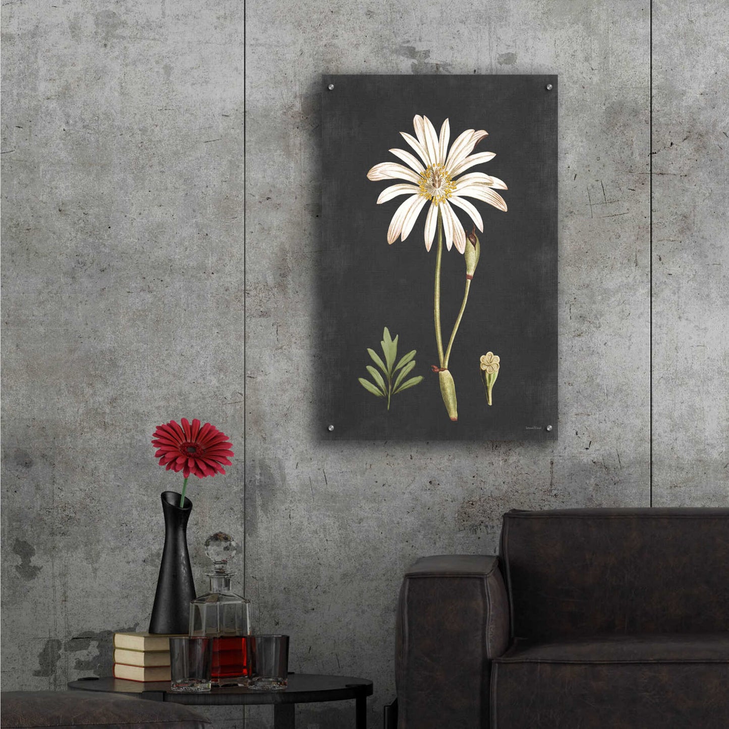 Epic Art 'Naturalist Bloom Study' by lettered & lined, Acrylic Glass Wall Art,24x36