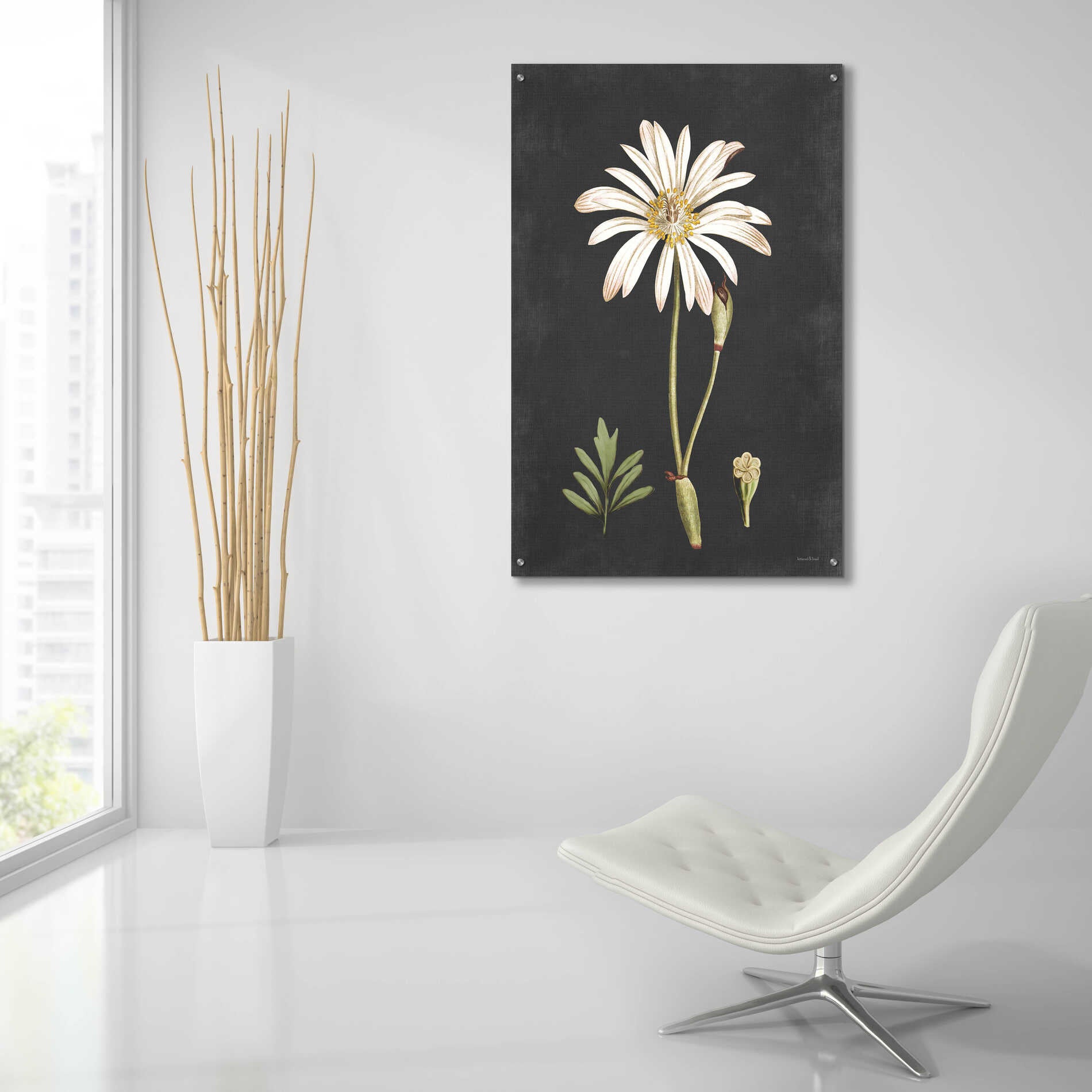 Epic Art 'Naturalist Bloom Study' by lettered & lined, Acrylic Glass Wall Art,24x36