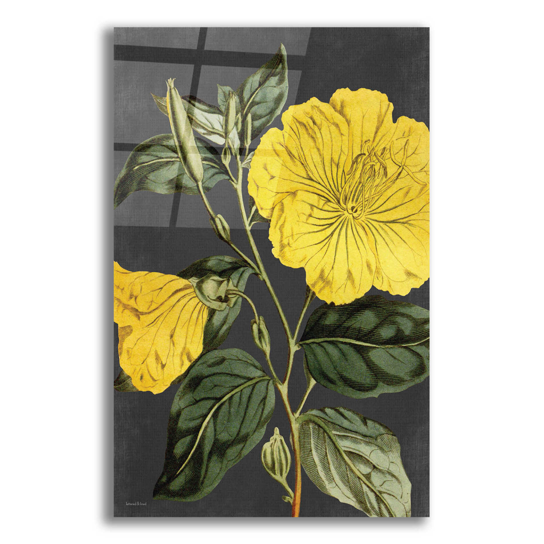 Epic Art 'Yellow Vine' by lettered & lined, Acrylic Glass Wall Art,12x16