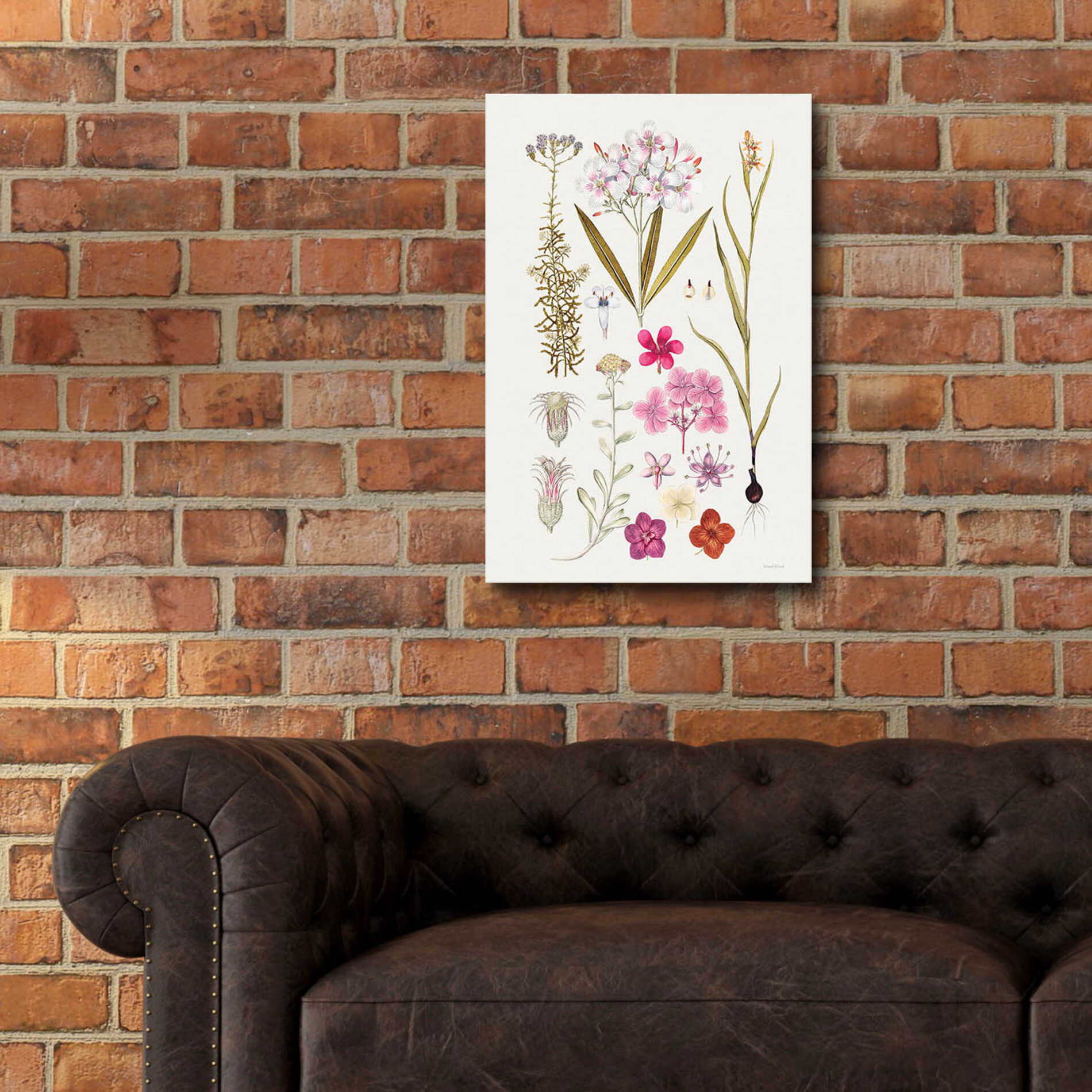 Epic Art 'Vintage Bloom Study' by lettered & lined, Acrylic Glass Wall Art,16x24