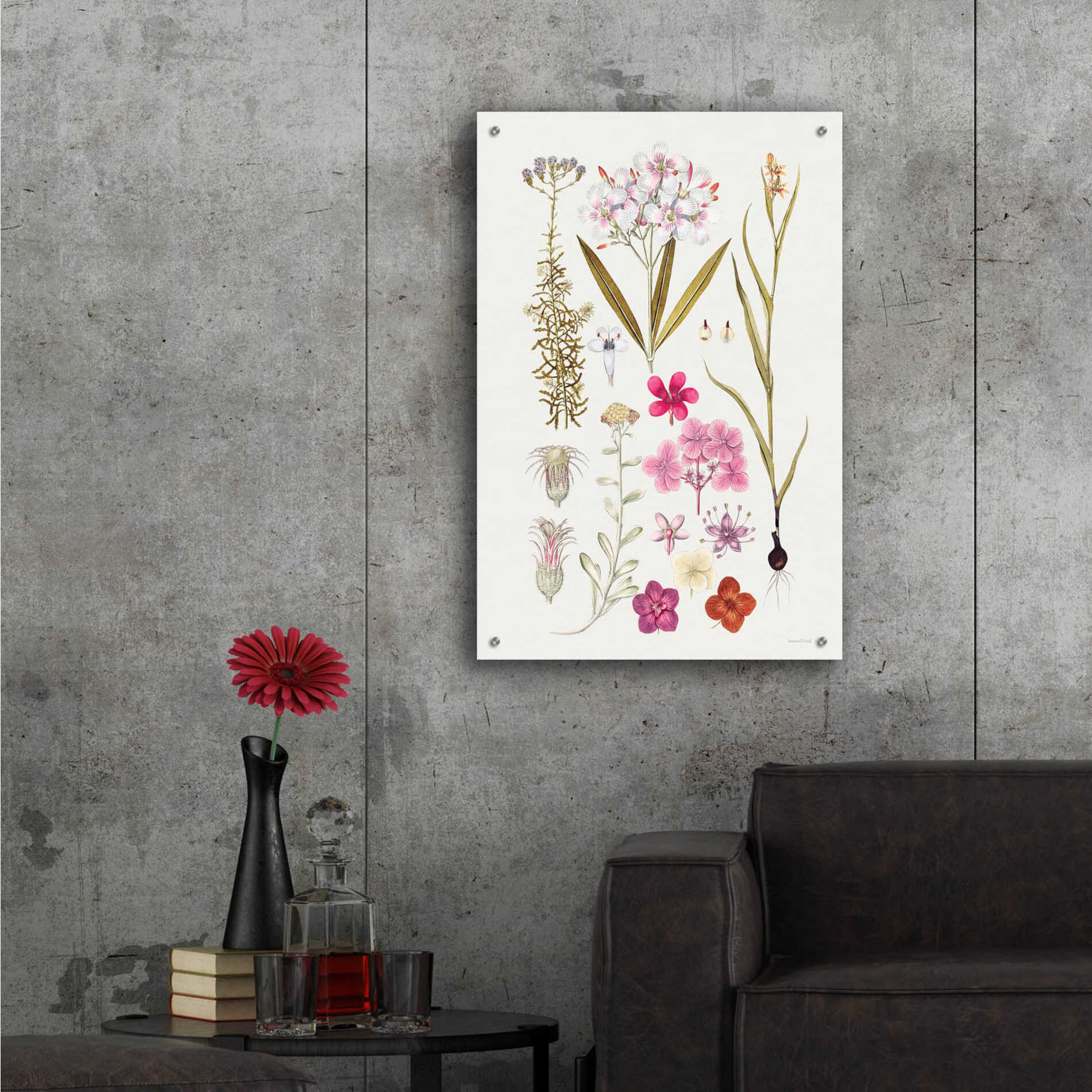 Epic Art 'Vintage Bloom Study' by lettered & lined, Acrylic Glass Wall Art,24x36