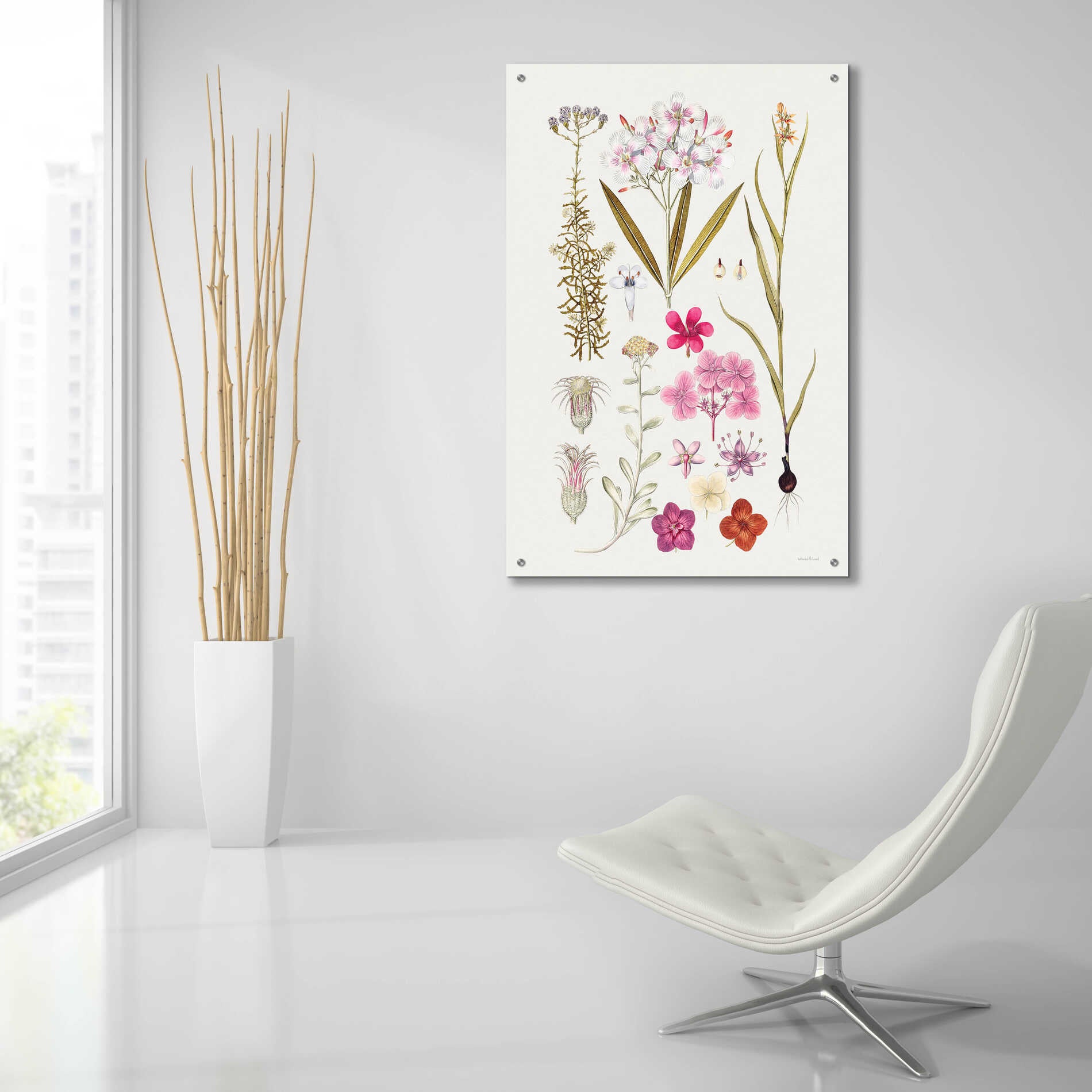 Epic Art 'Vintage Bloom Study' by lettered & lined, Acrylic Glass Wall Art,24x36