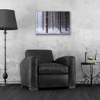 Epic Art 'Red Woods' by Martin Podt, Acrylic Glass Wall Art,24x16