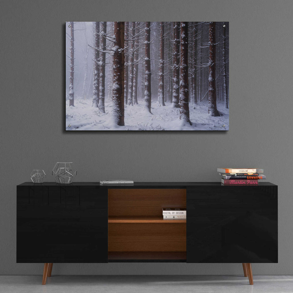 Epic Art 'Red Woods' by Martin Podt, Acrylic Glass Wall Art,36x24