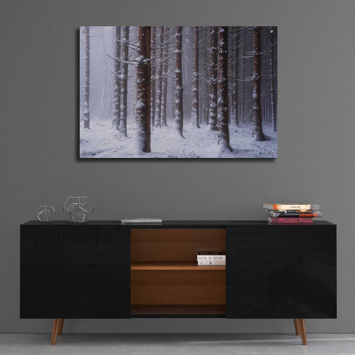 Epic Art 'Red Woods' by Martin Podt, Acrylic Glass Wall Art,36x24