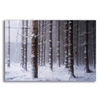 Epic Art 'Red Woods' by Martin Podt, Acrylic Glass Wall Art