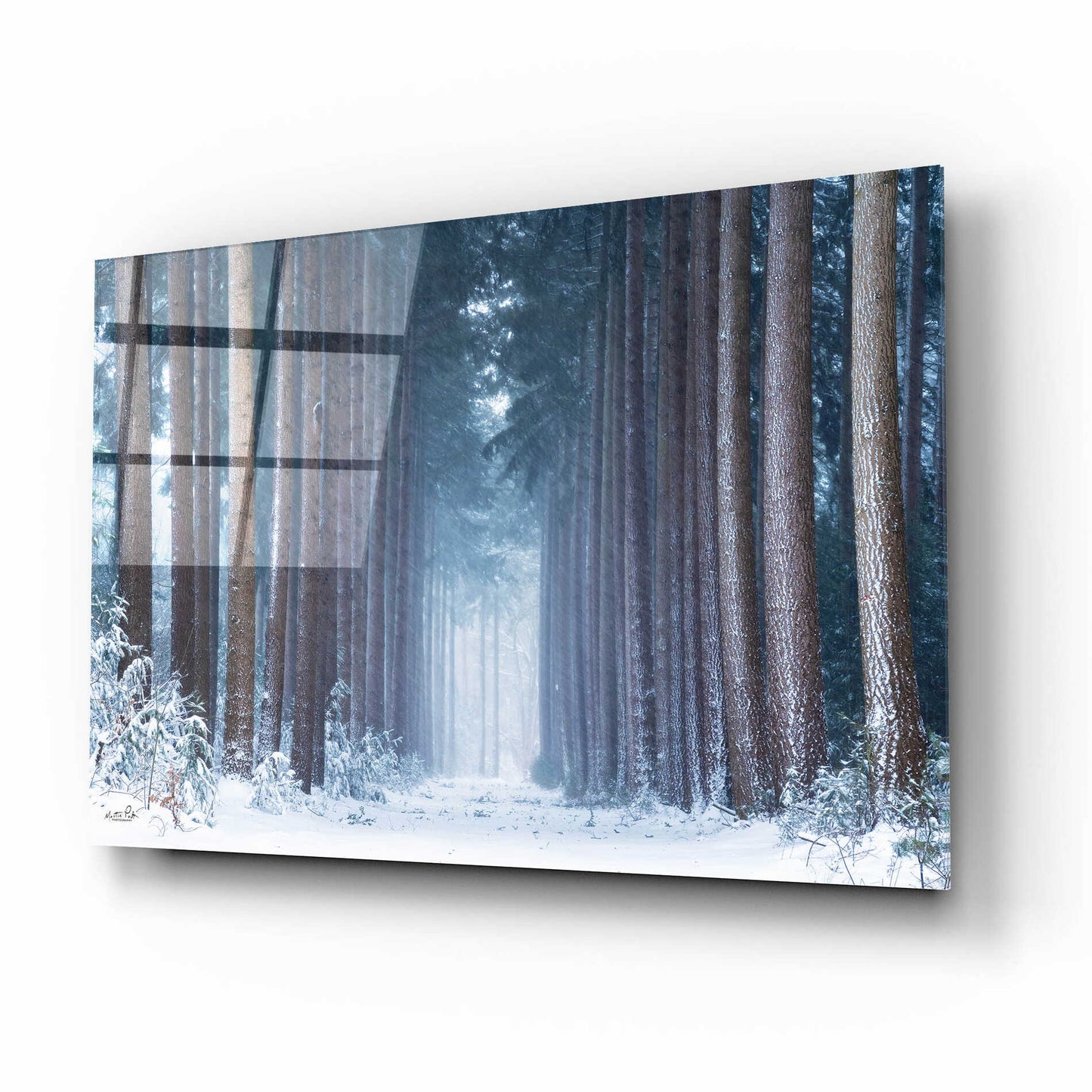 Epic Art 'Polar Winter' by Martin Podt, Acrylic Glass Wall Art,16x12