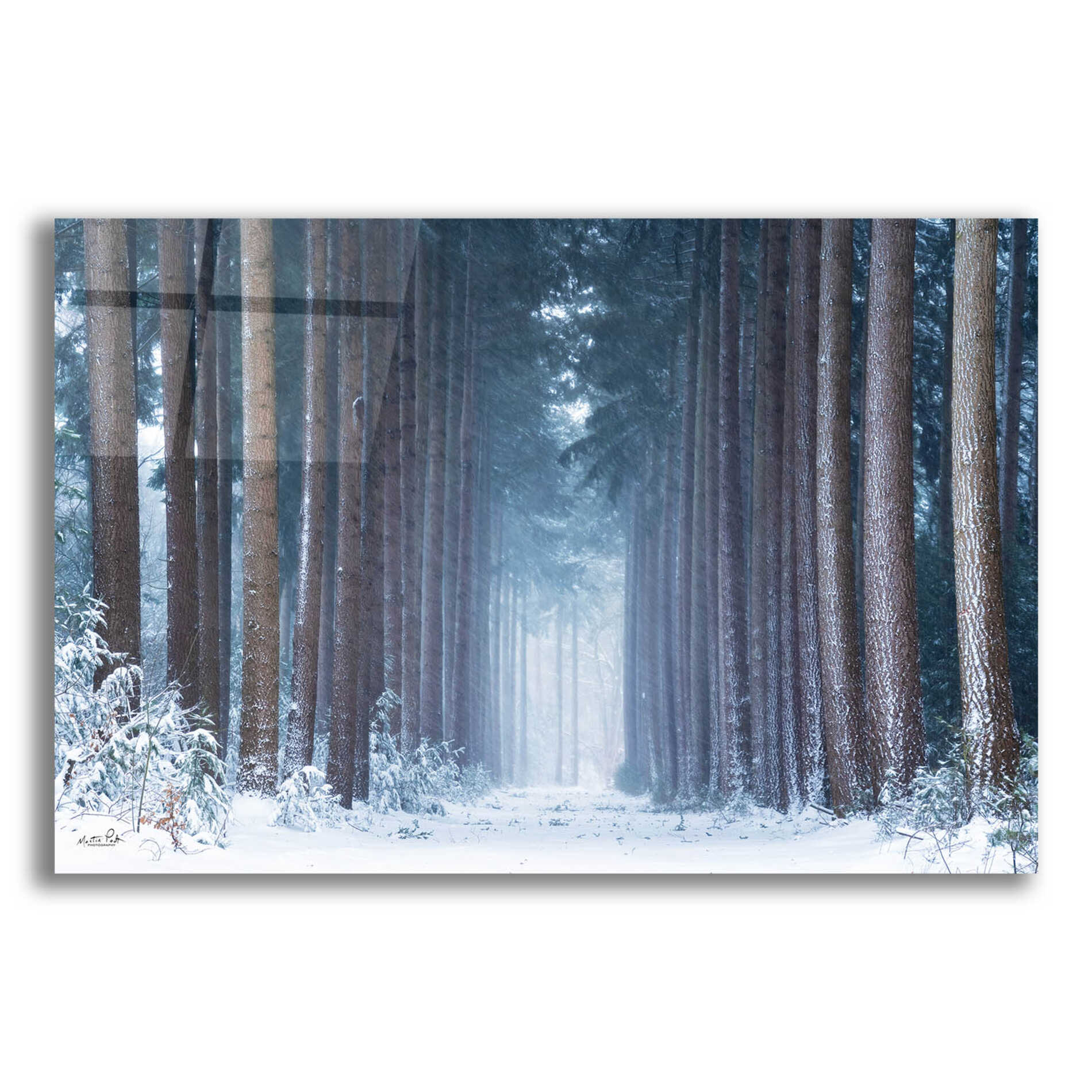 Epic Art 'Polar Winter' by Martin Podt, Acrylic Glass Wall Art,16x12