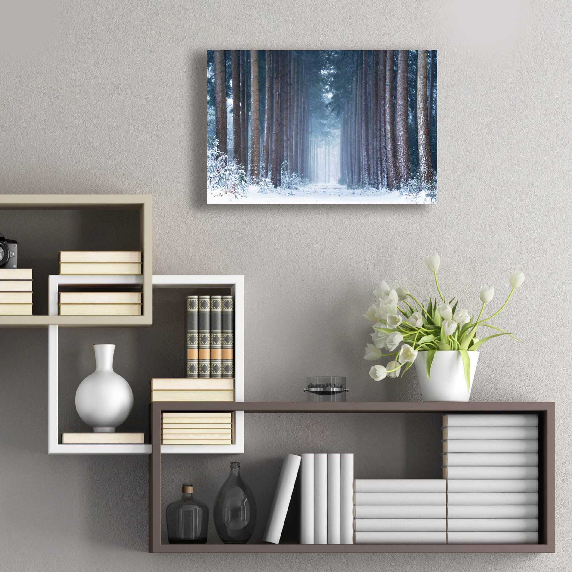 Epic Art 'Polar Winter' by Martin Podt, Acrylic Glass Wall Art,24x16