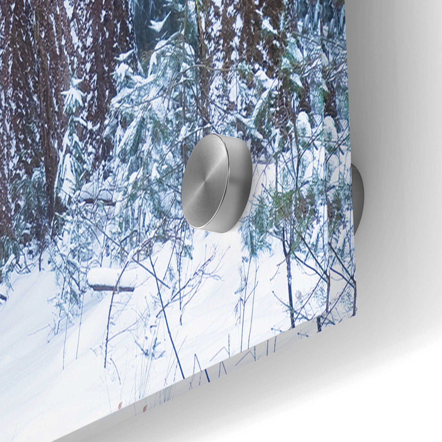 Epic Art 'Polar Winter' by Martin Podt, Acrylic Glass Wall Art,36x24