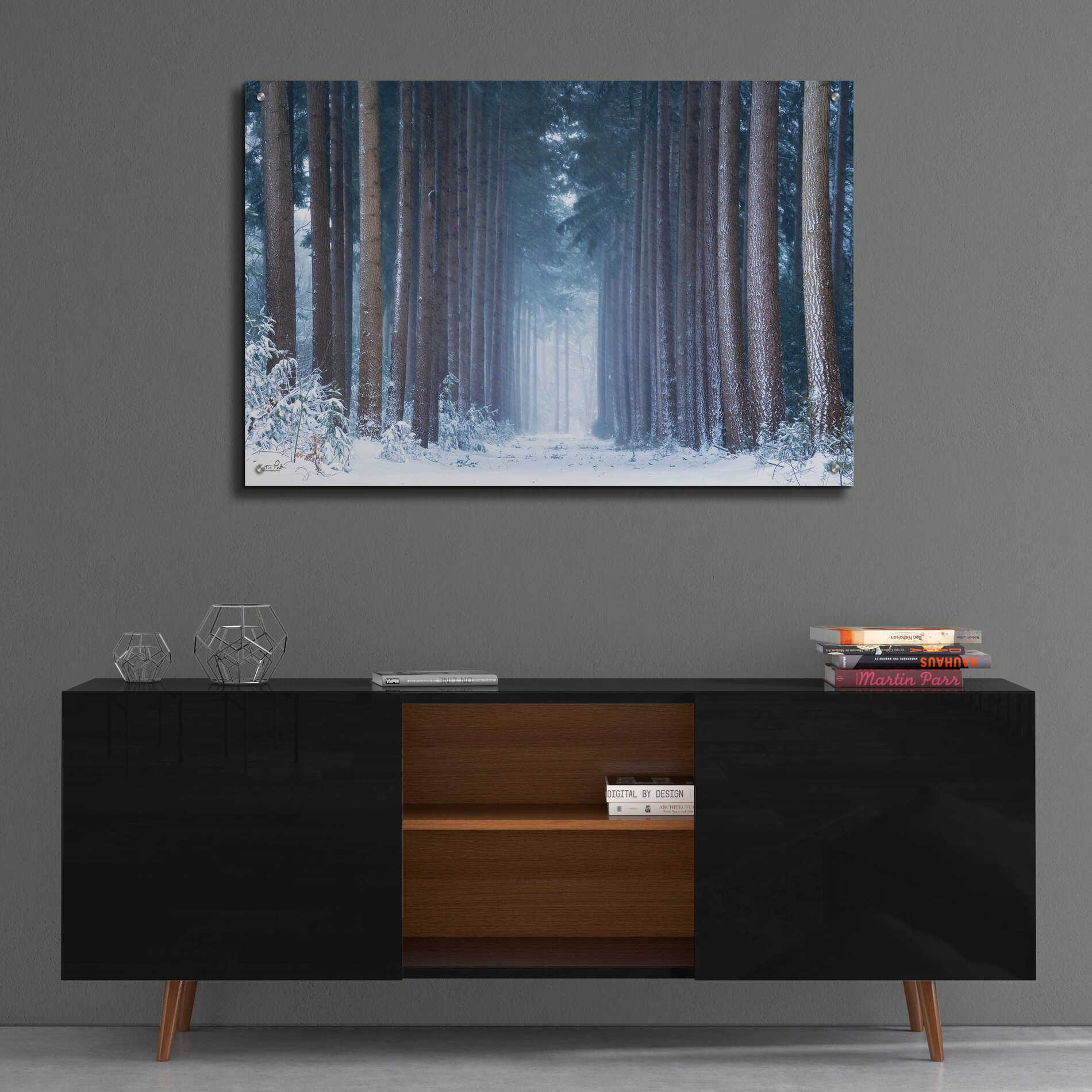 Epic Art 'Polar Winter' by Martin Podt, Acrylic Glass Wall Art,36x24