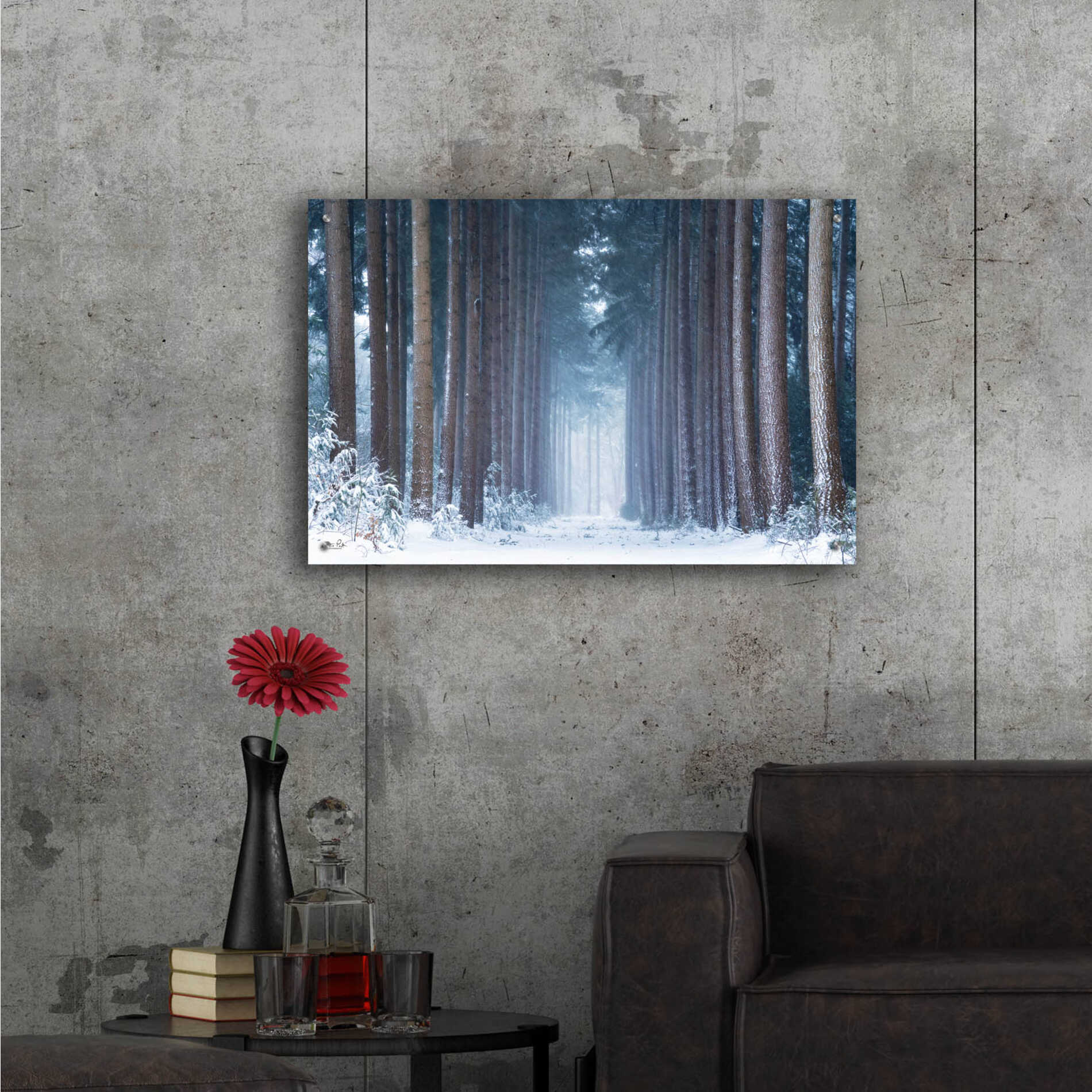 Epic Art 'Polar Winter' by Martin Podt, Acrylic Glass Wall Art,36x24