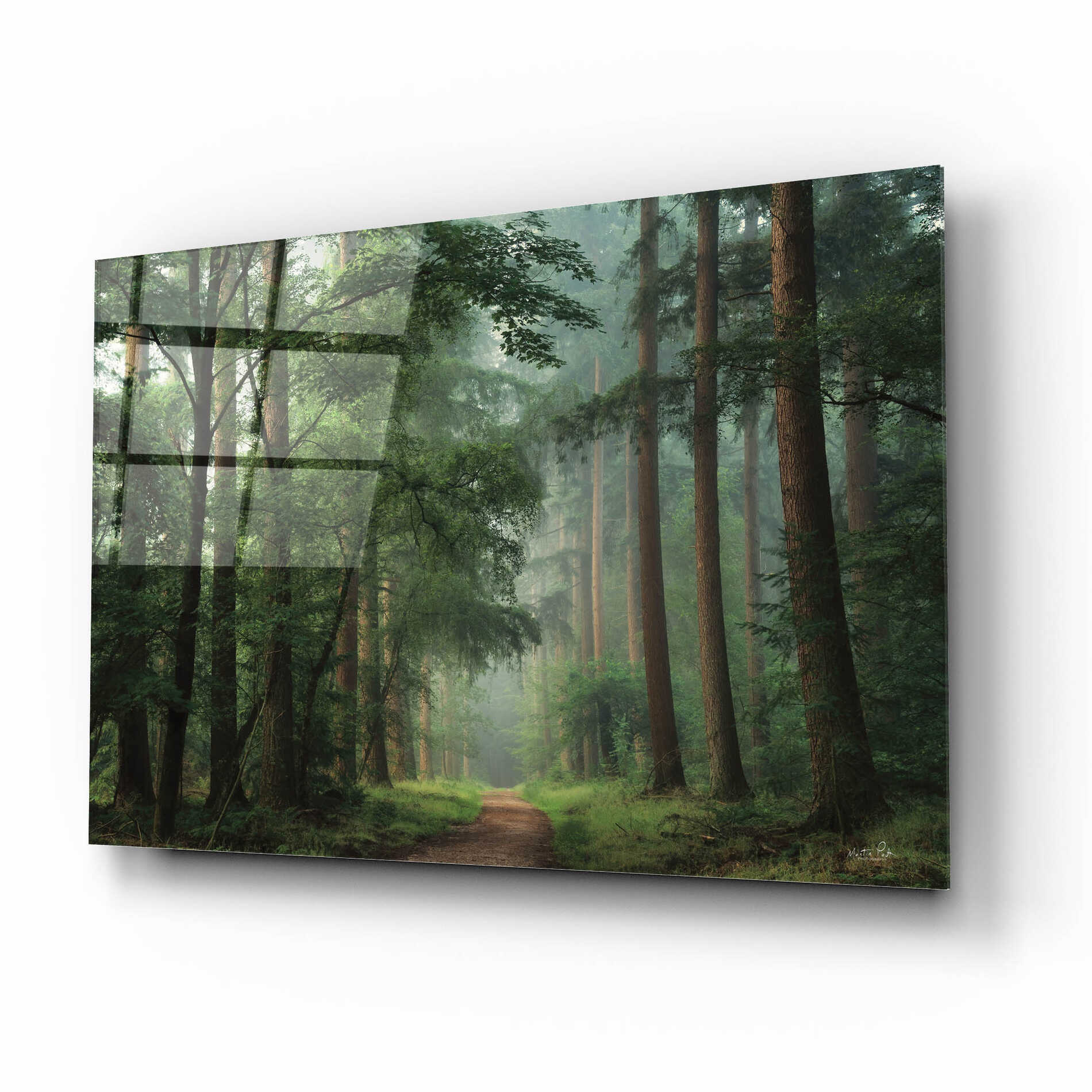 Epic Art 'Moody Green' by Martin Podt, Acrylic Glass Wall Art,16x12