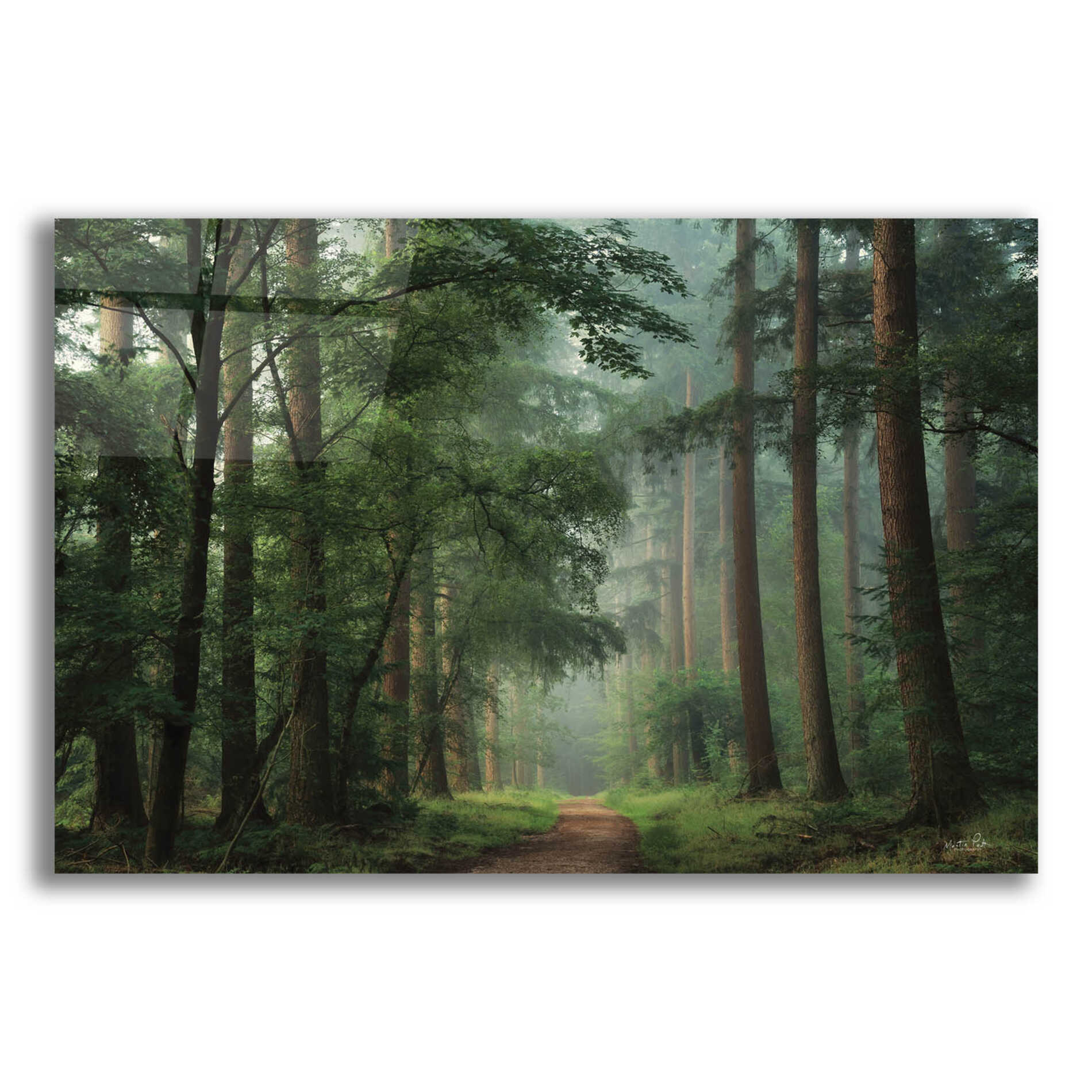 Epic Art 'Moody Green' by Martin Podt, Acrylic Glass Wall Art,16x12