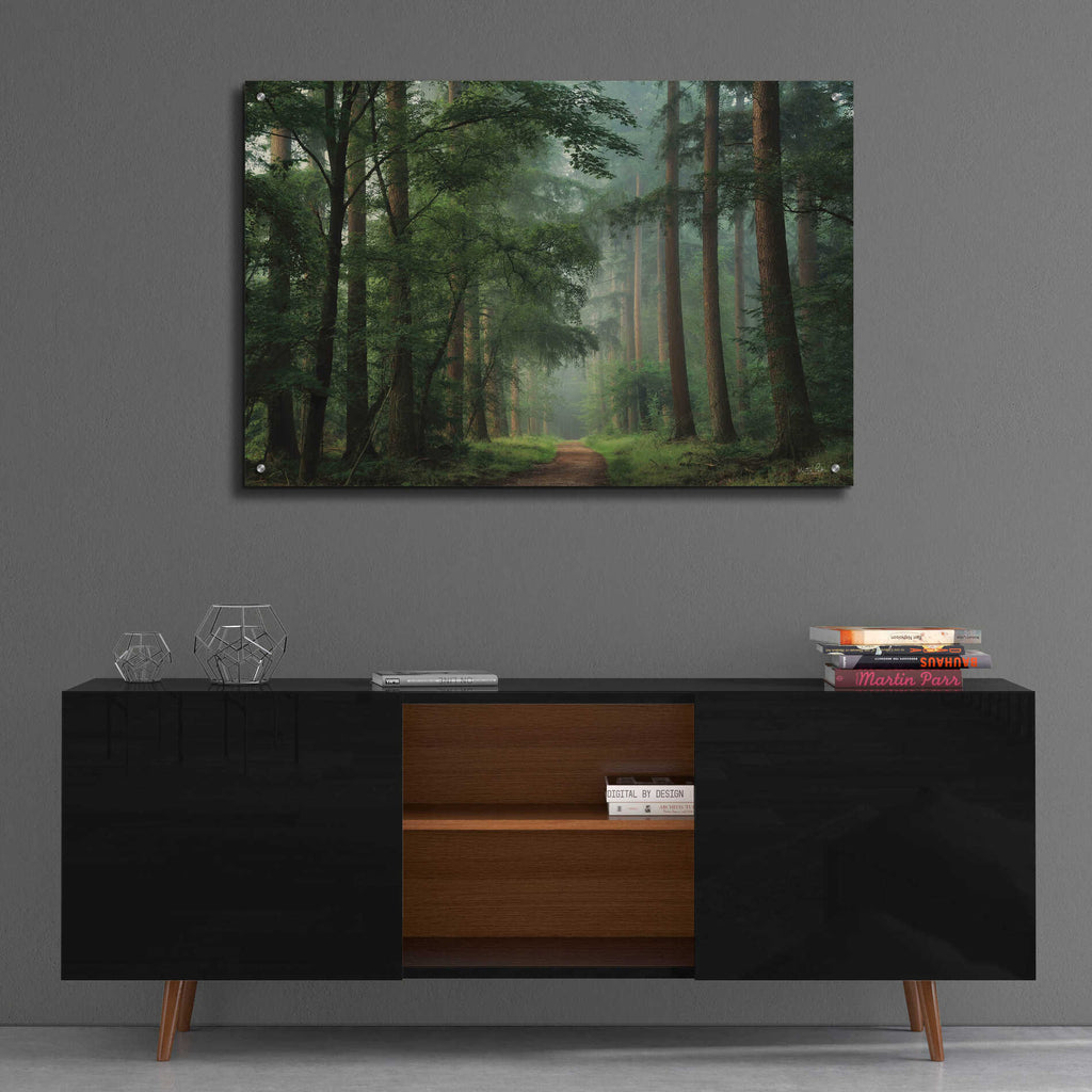 Epic Art 'Moody Green' by Martin Podt, Acrylic Glass Wall Art,36x24