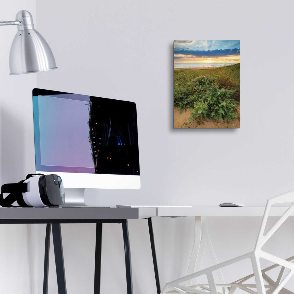 Epic Art 'Dutch Dunes' by Martin Podt, Acrylic Glass Wall Art,12x16