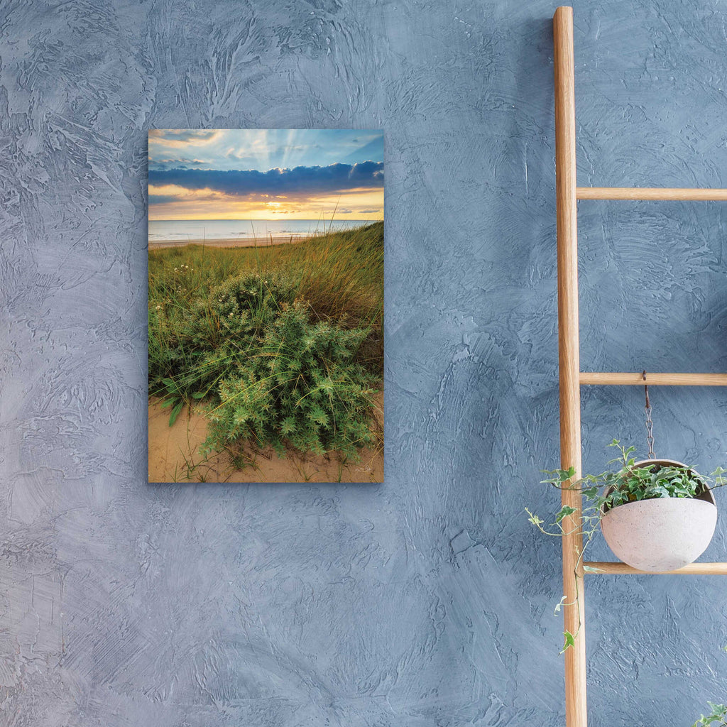 Epic Art 'Dutch Dunes' by Martin Podt, Acrylic Glass Wall Art,16x24