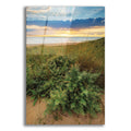 Epic Art 'Dutch Dunes' by Martin Podt, Acrylic Glass Wall Art