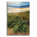 Epic Art 'Dutch Dunes' by Martin Podt, Acrylic Glass Wall Art