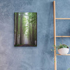 Epic Art 'Foggy Road' by Martin Podt, Acrylic Glass Wall Art,16x24