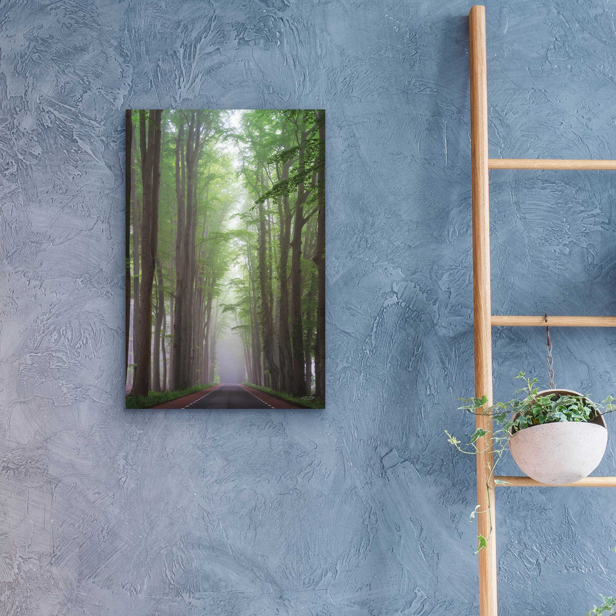 Epic Art 'Foggy Road' by Martin Podt, Acrylic Glass Wall Art,16x24