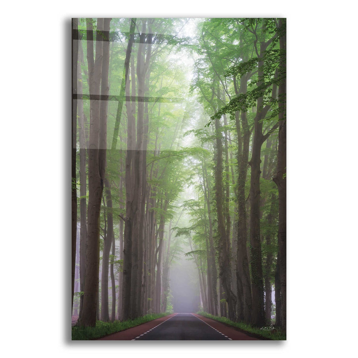 Epic Art 'Foggy Road' by Martin Podt, Acrylic Glass Wall Art,16x24
