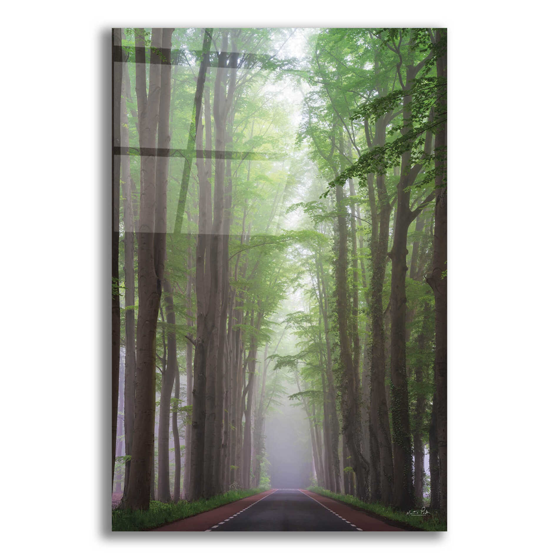Epic Art 'Foggy Road' by Martin Podt, Acrylic Glass Wall Art