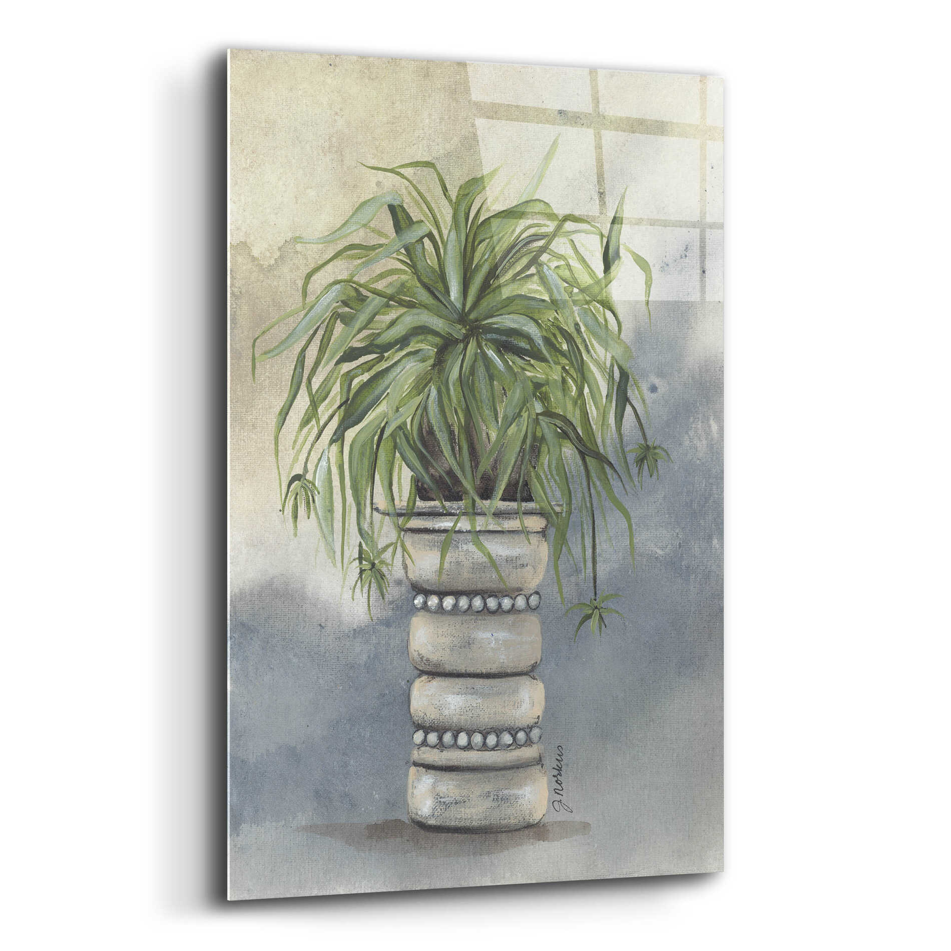 Epic Art 'Spider Plant in Pottery' by Julie Norkus, Acrylic Glass Wall Art,12x16