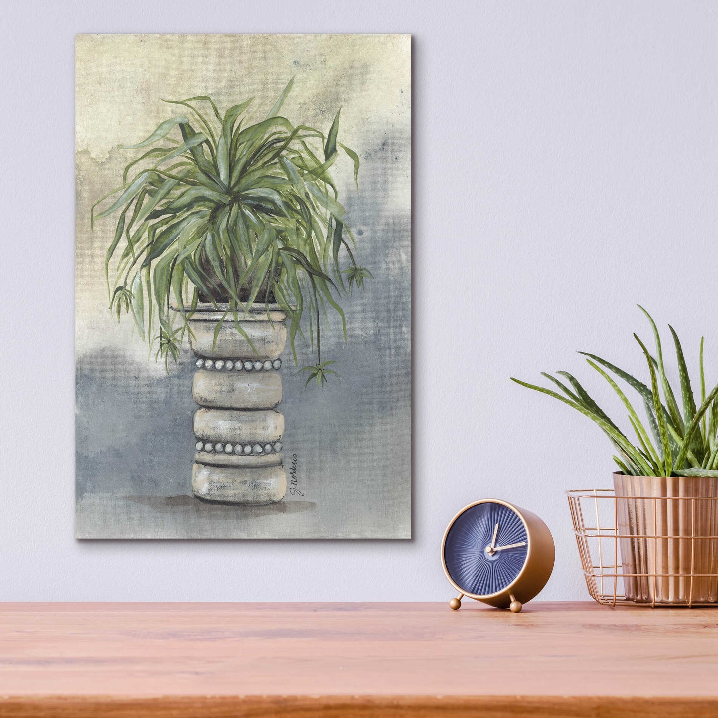 Epic Art 'Spider Plant in Pottery' by Julie Norkus, Acrylic Glass Wall Art,12x16