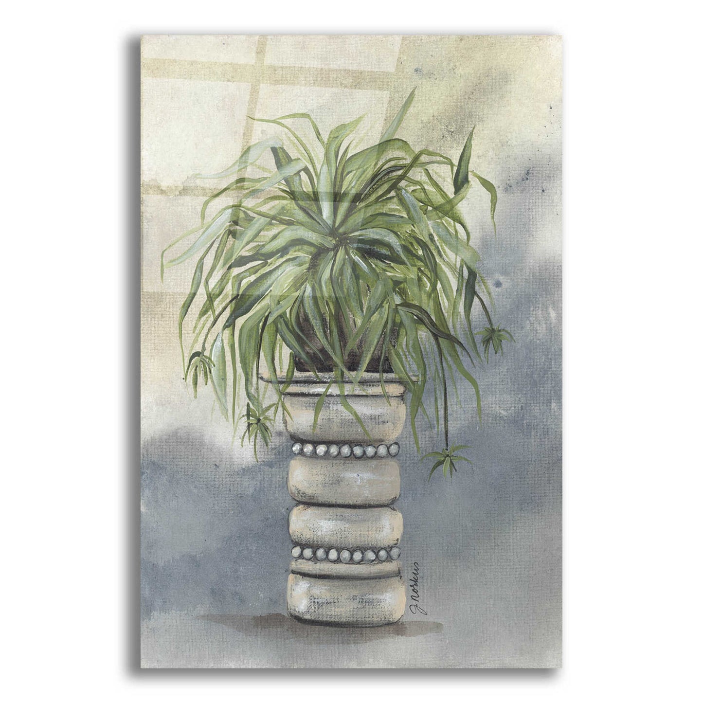 Epic Art 'Spider Plant in Pottery' by Julie Norkus, Acrylic Glass Wall Art,12x16