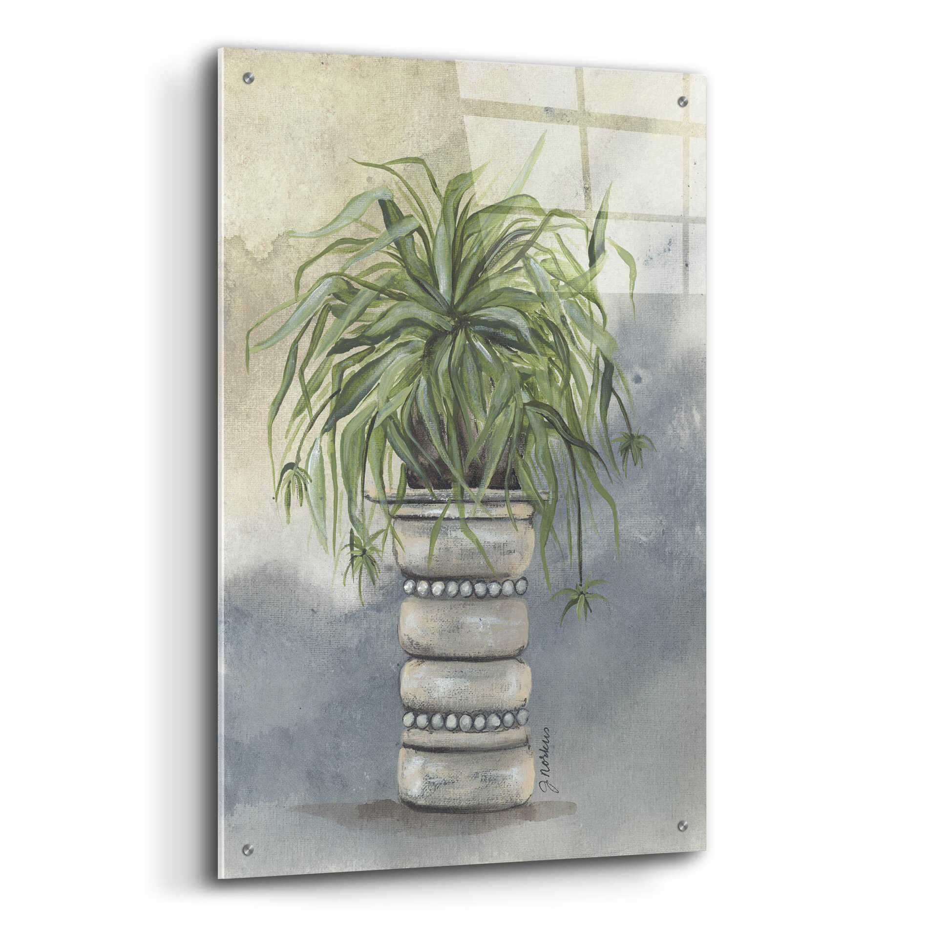 Epic Art 'Spider Plant in Pottery' by Julie Norkus, Acrylic Glass Wall Art,24x36