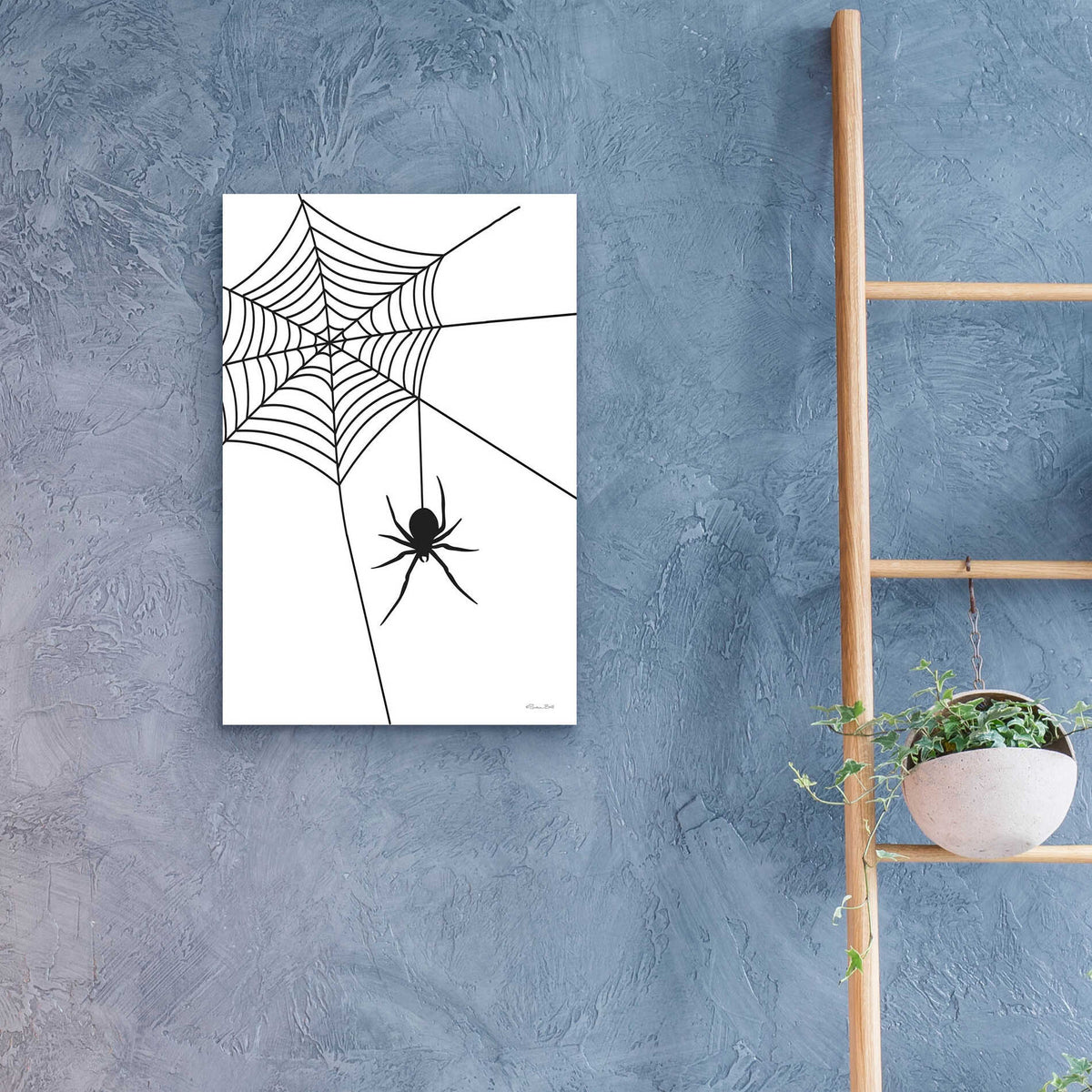 Epic Art 'Creepy Spider' by Susan Ball, Acrylic Glass Wall Art,16x24