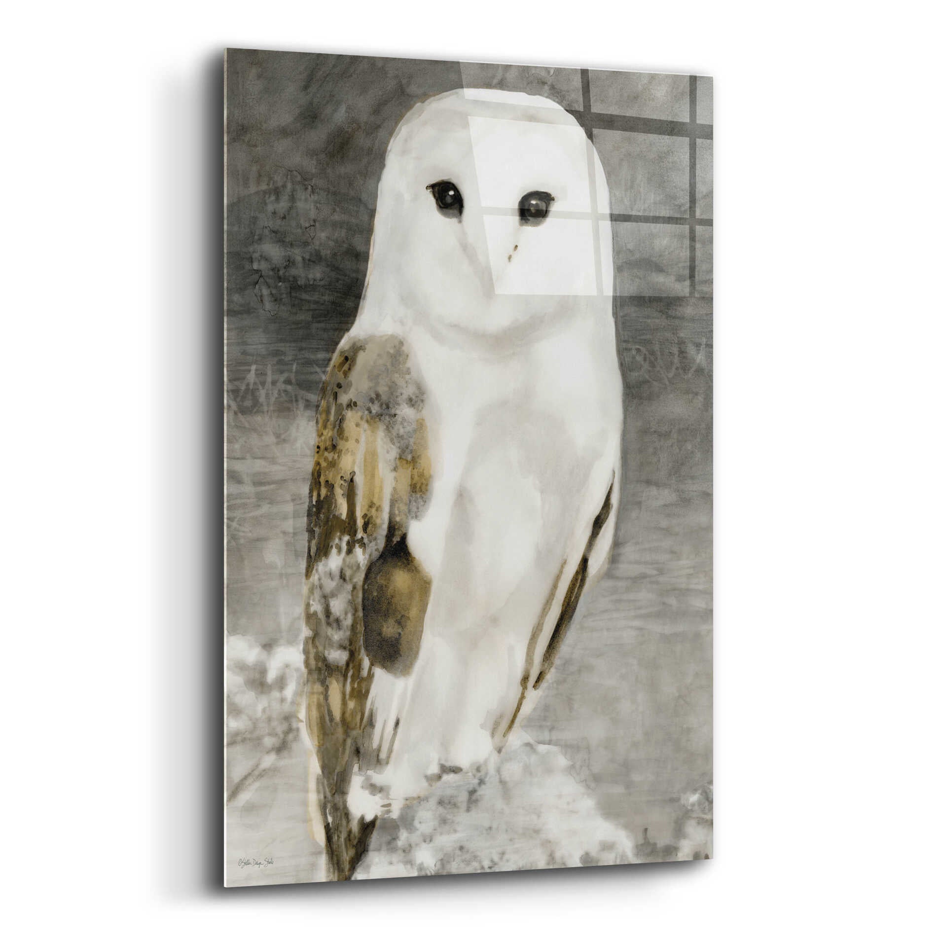 Epic Art 'Snowy Owl 1' by Stellar Design Studio, Acrylic Glass Wall Art,12x16