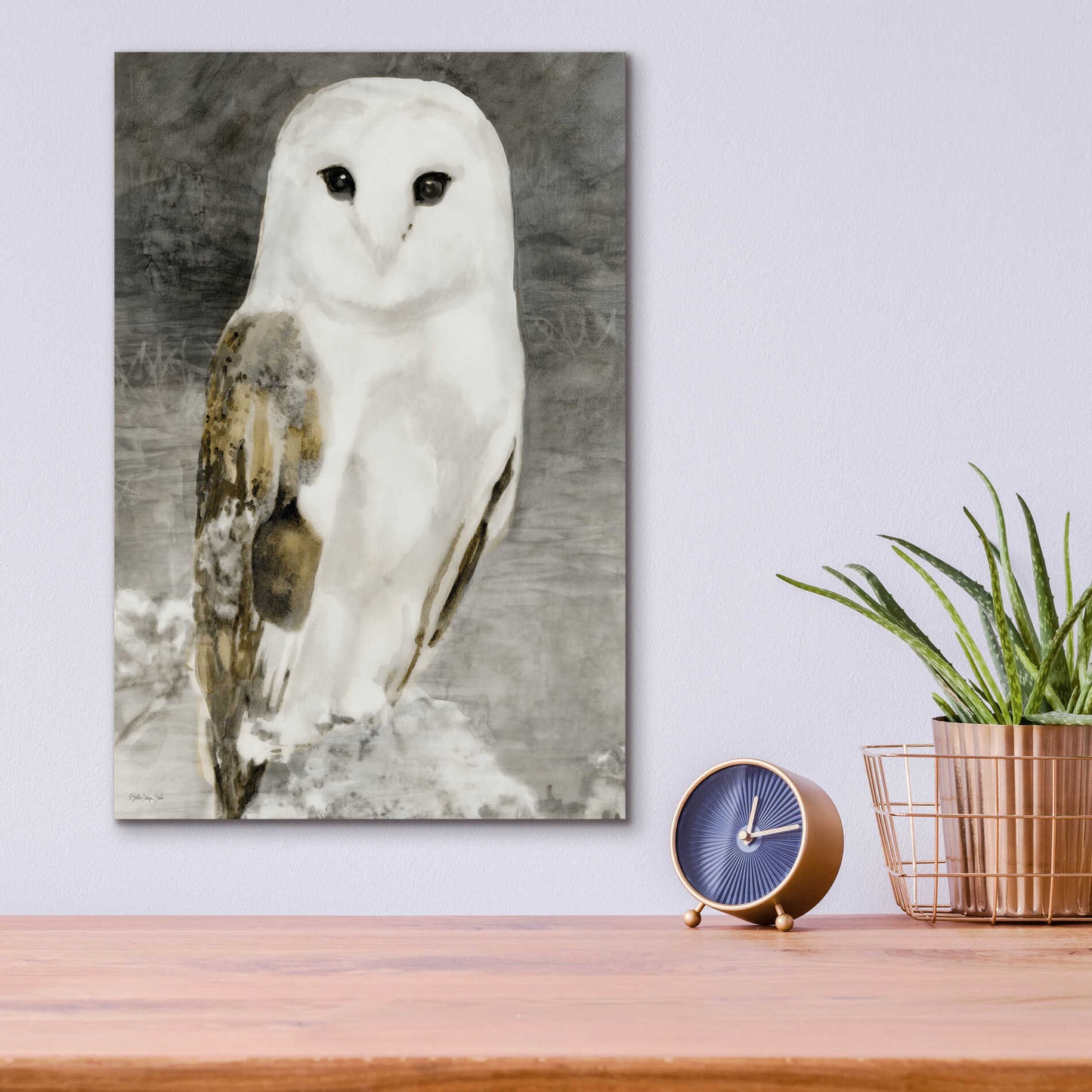 Epic Art 'Snowy Owl 1' by Stellar Design Studio, Acrylic Glass Wall Art,12x16