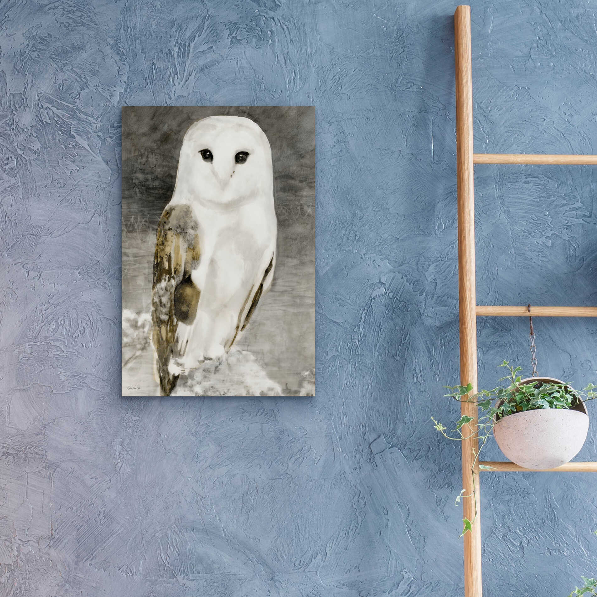 Epic Art 'Snowy Owl 1' by Stellar Design Studio, Acrylic Glass Wall Art,16x24